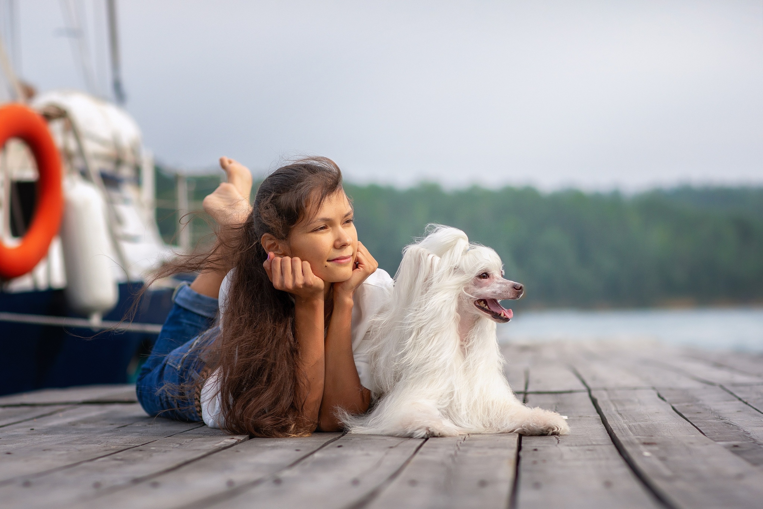 Для клиентов. Фотограф для Вашей собаки