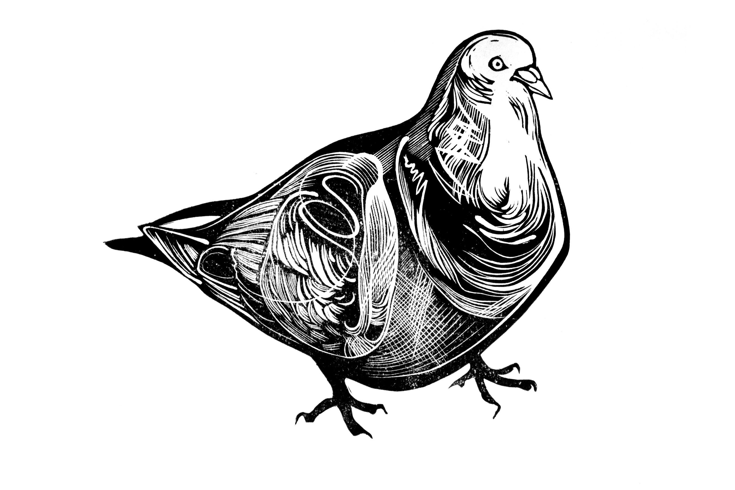 Купить. Серпухова