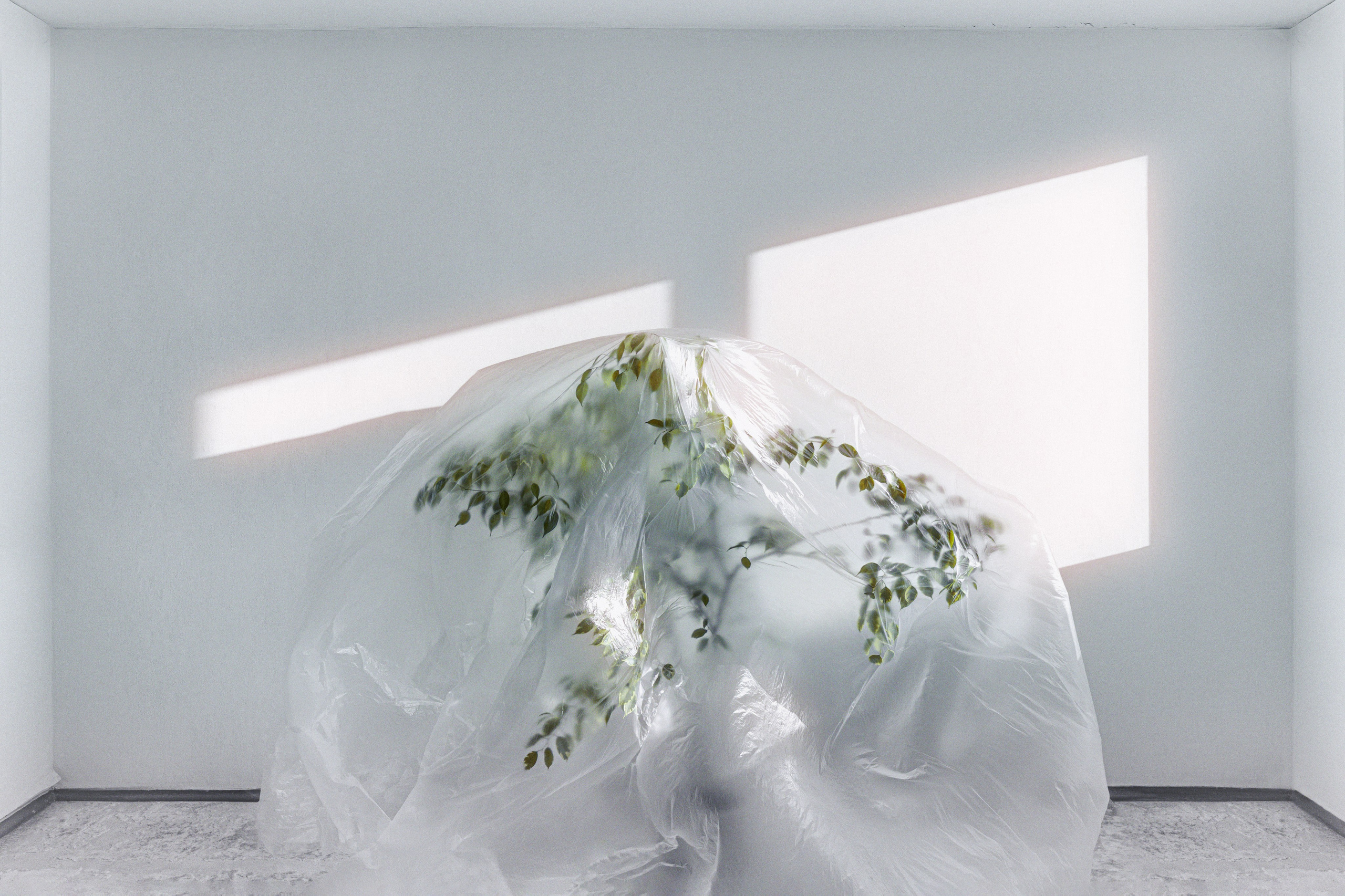 Сафонов Владислав, фотохудожник