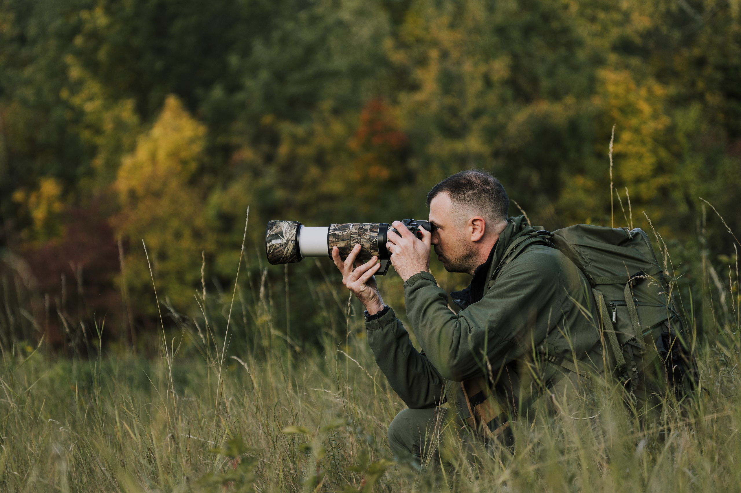 Anton Chernov | Wildlife photographer