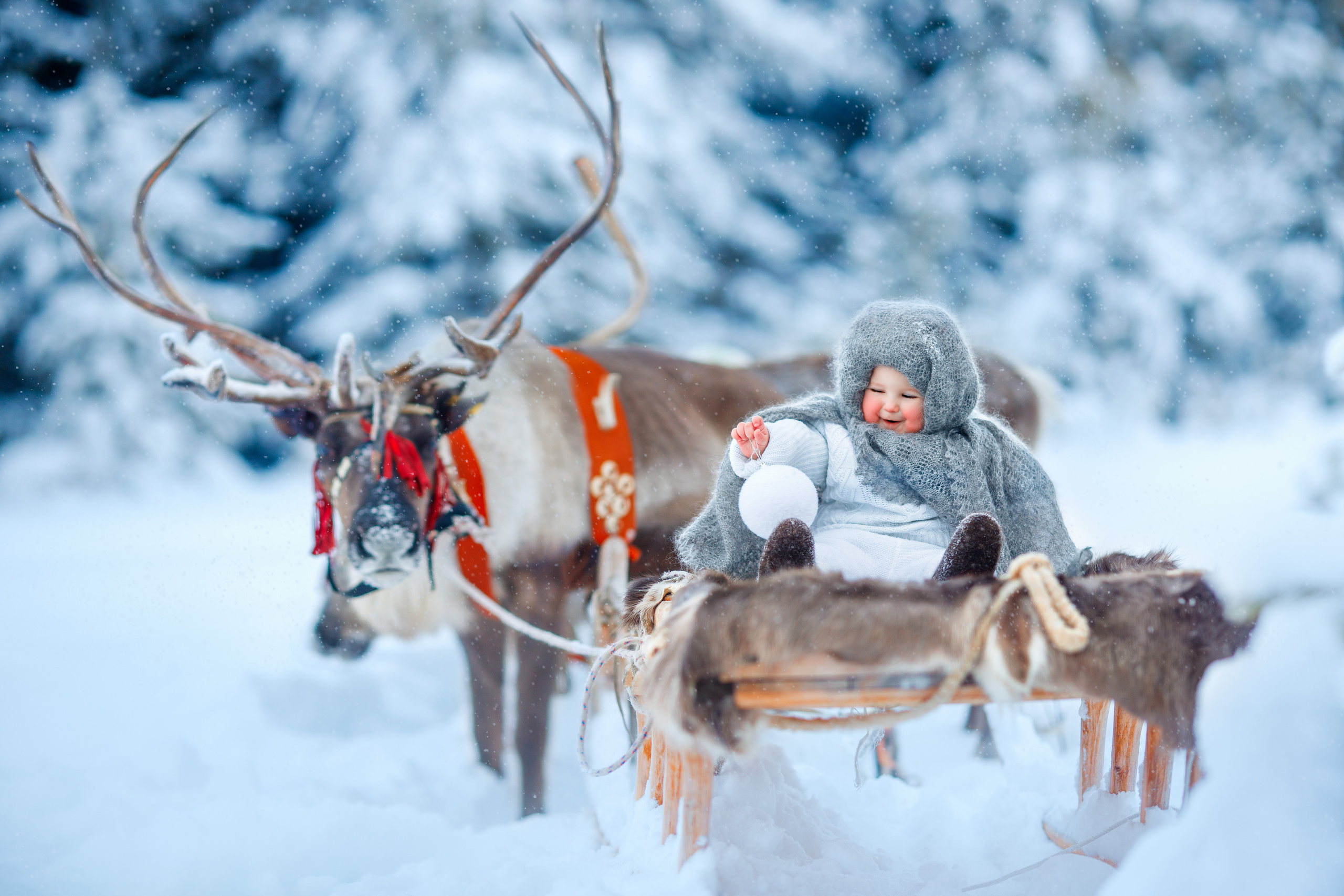 Фотосессия первоклассников, создание альбомов. Детский и семейный фотограф Екатерина Васильева