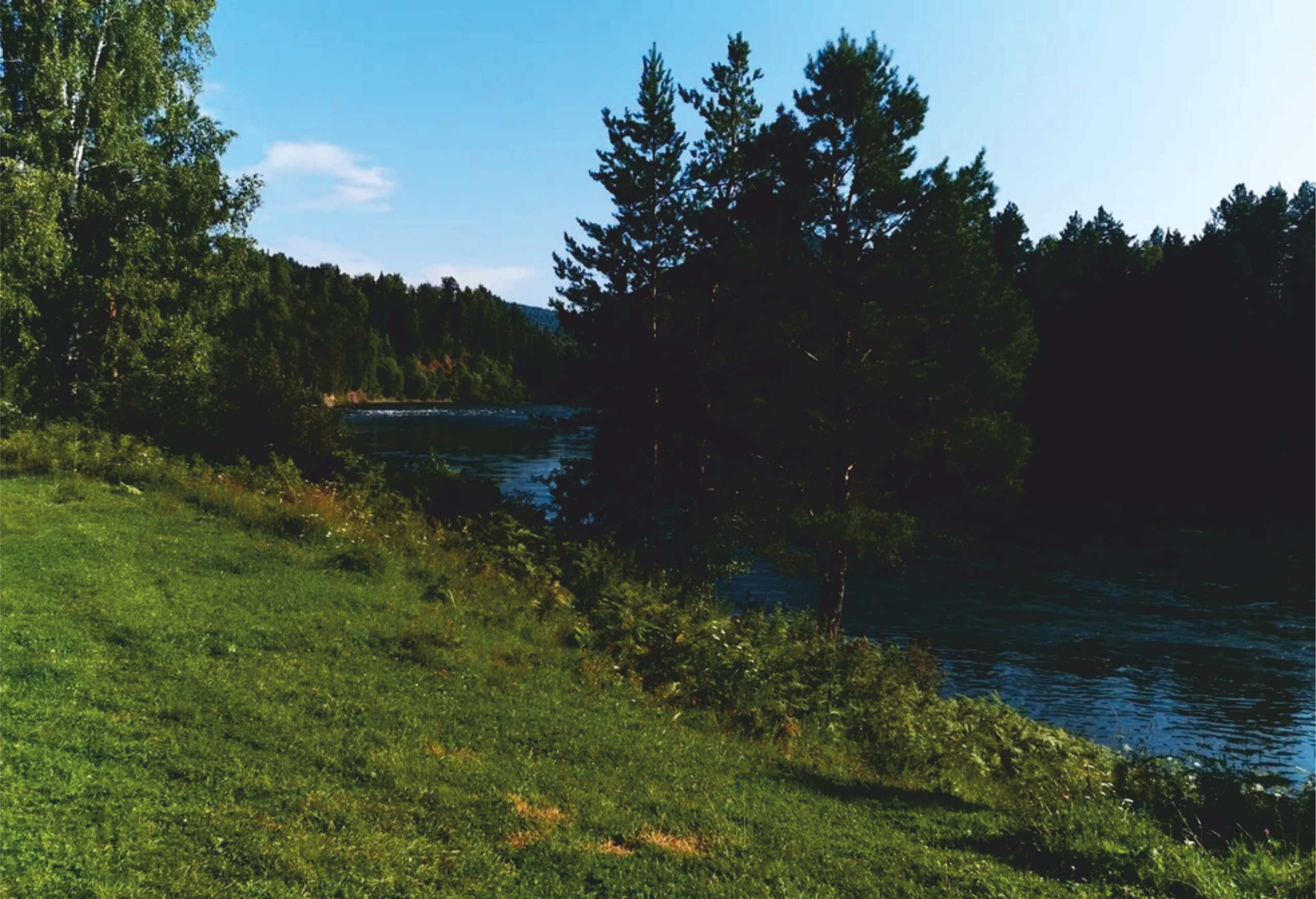 Озеро Куреево. Банк земельных участков Алтая