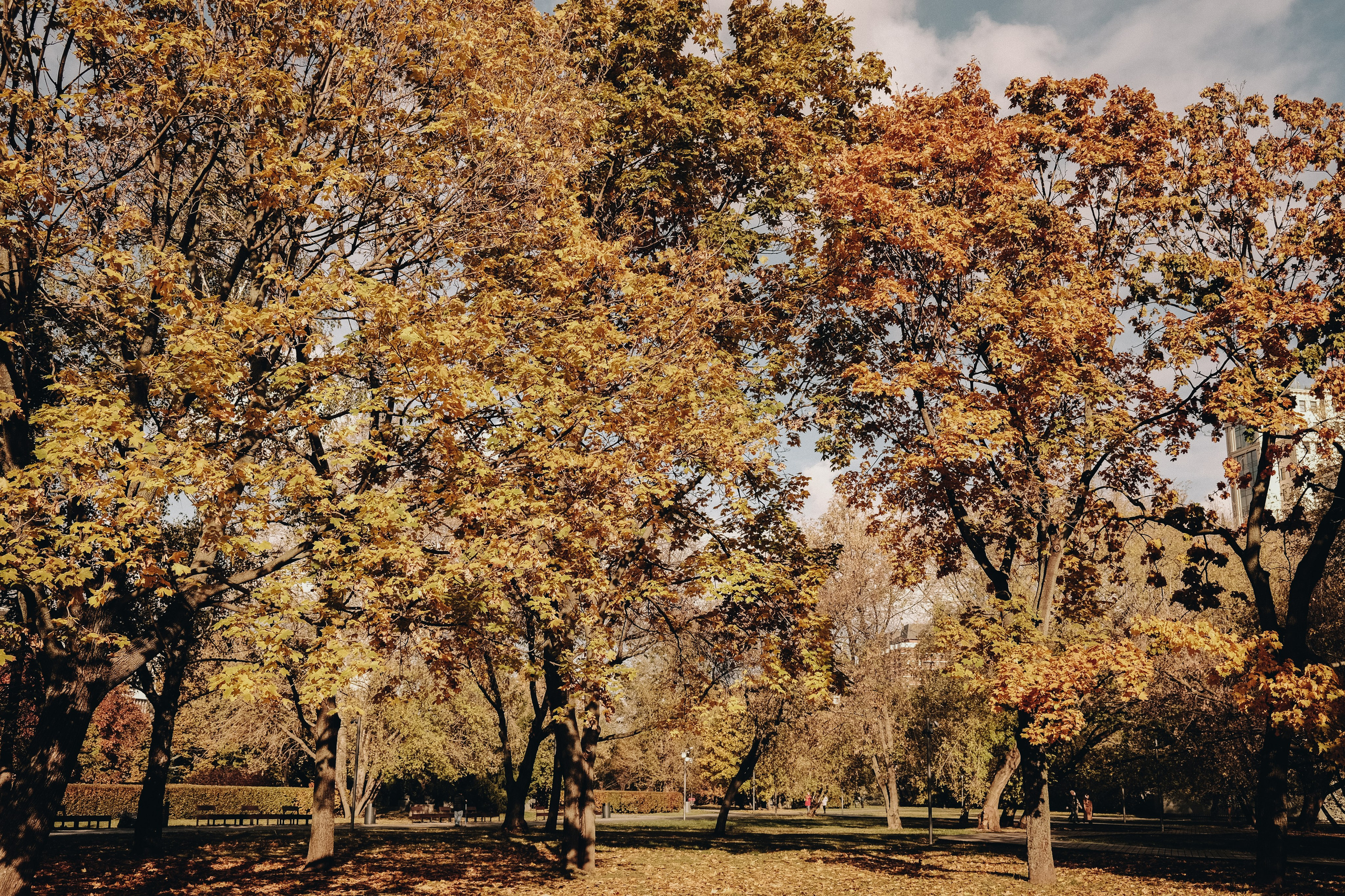 Вернуть себя себе. Аня Степанова
