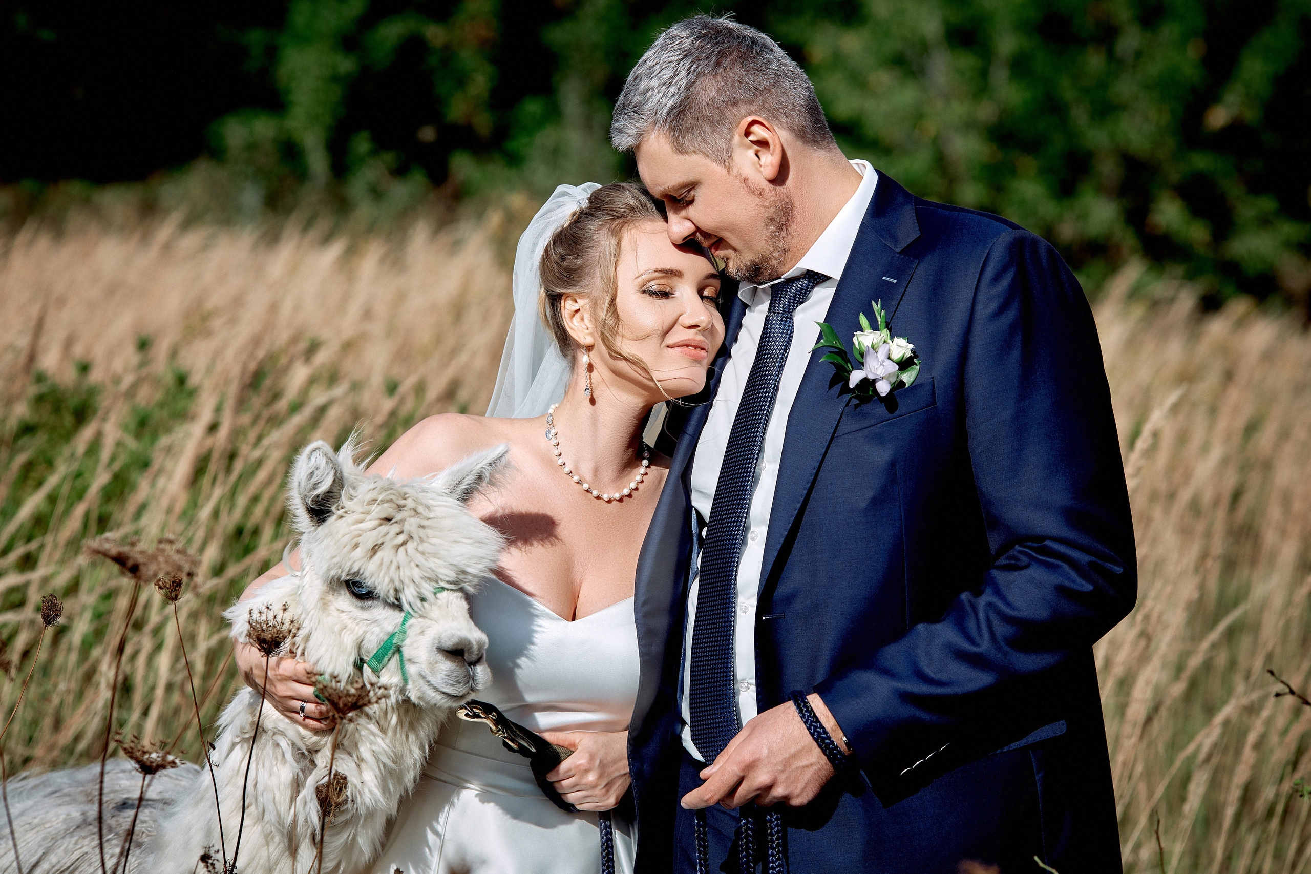 Летняя свадебная фотосессия после росписи в парке Сказка – пример фото со свадьбы, которая прошла в августе месяце