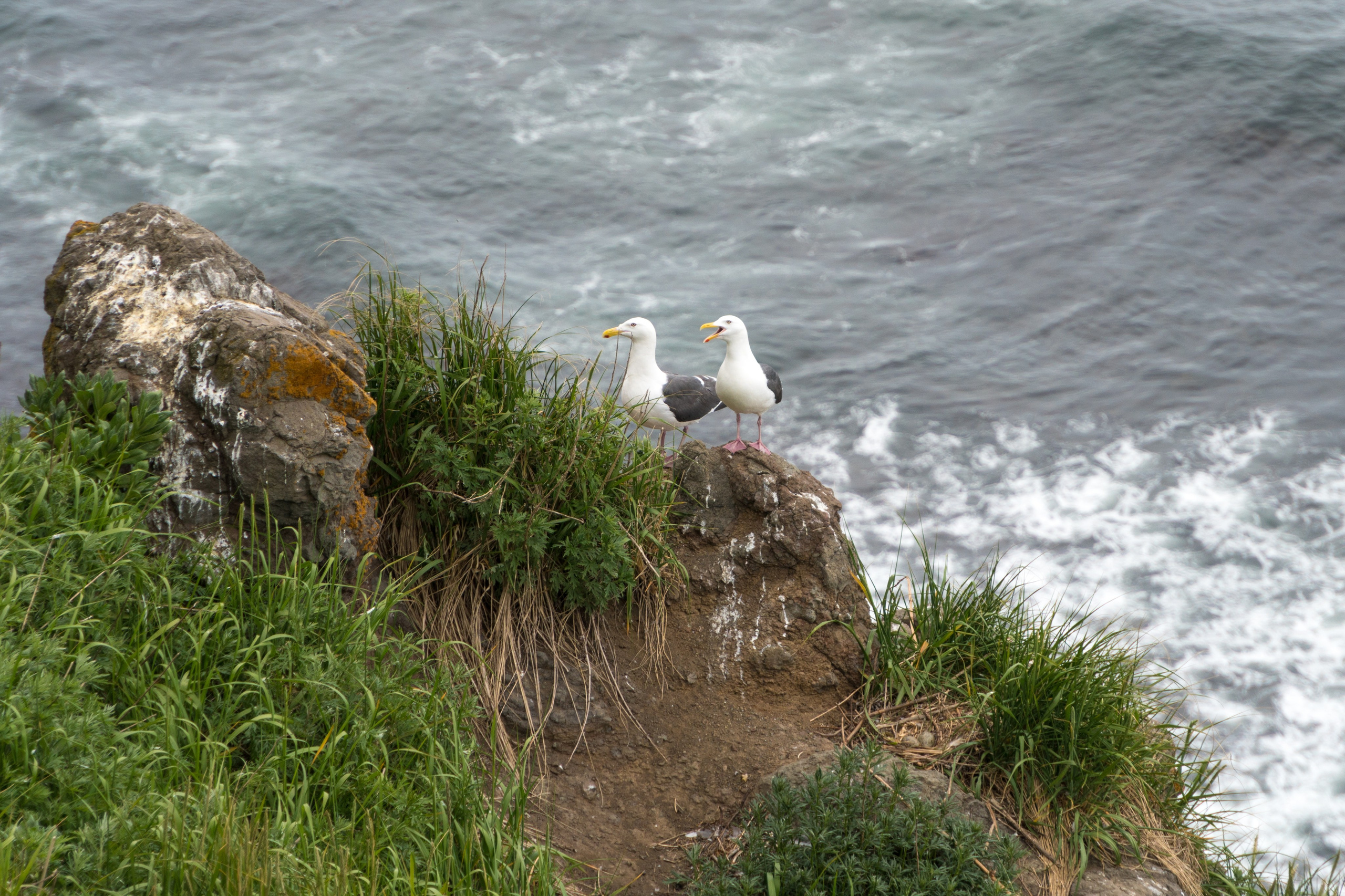 Мыс Маячный — смотровые точки, маяк и океан. Время Камчатки: чтобы найти свой путь, нужно скорость умножить на время