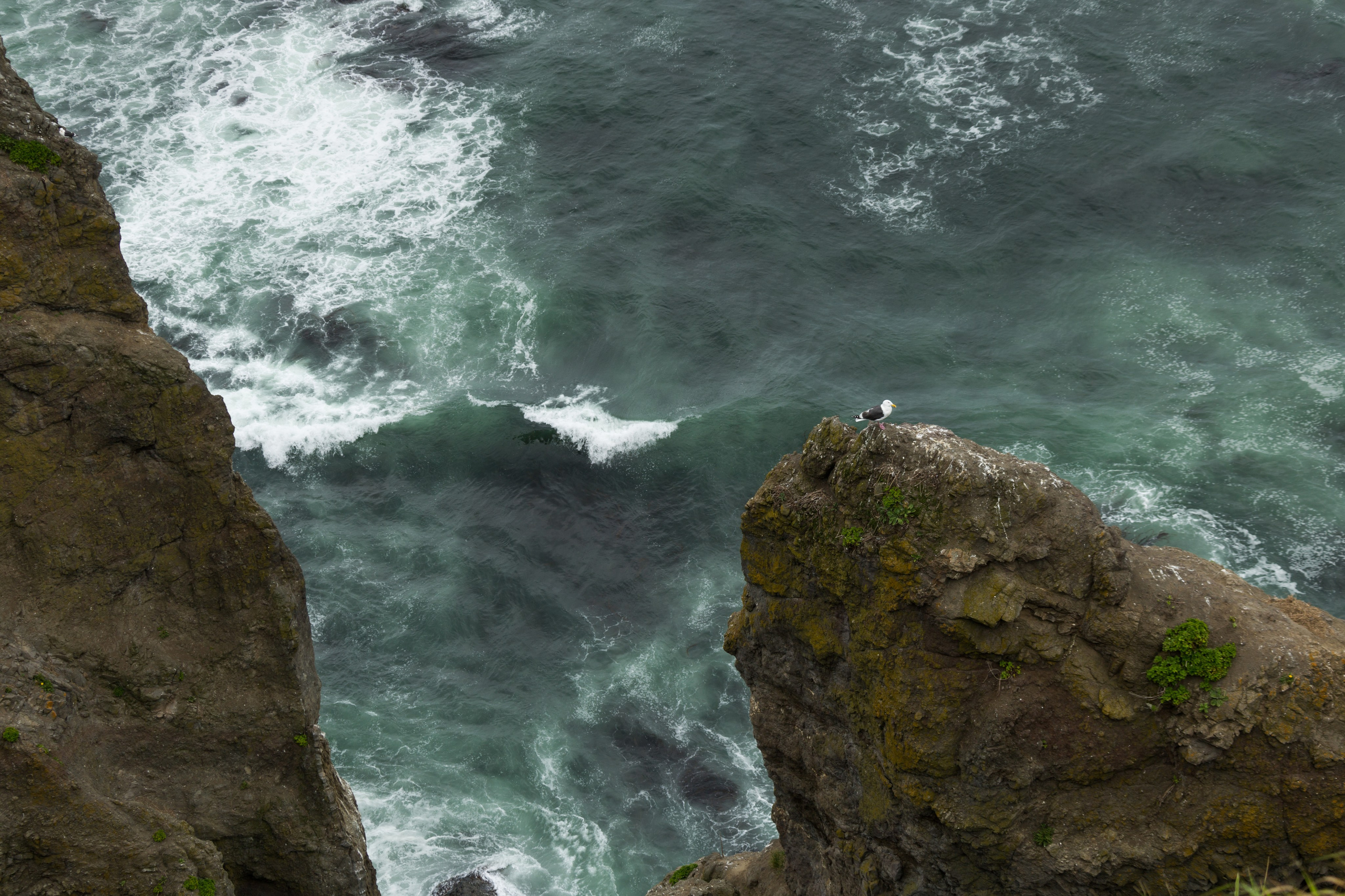 Мыс Маячный — смотровые точки, маяк и океан. Время Камчатки: чтобы найти свой путь, нужно скорость умножить на время