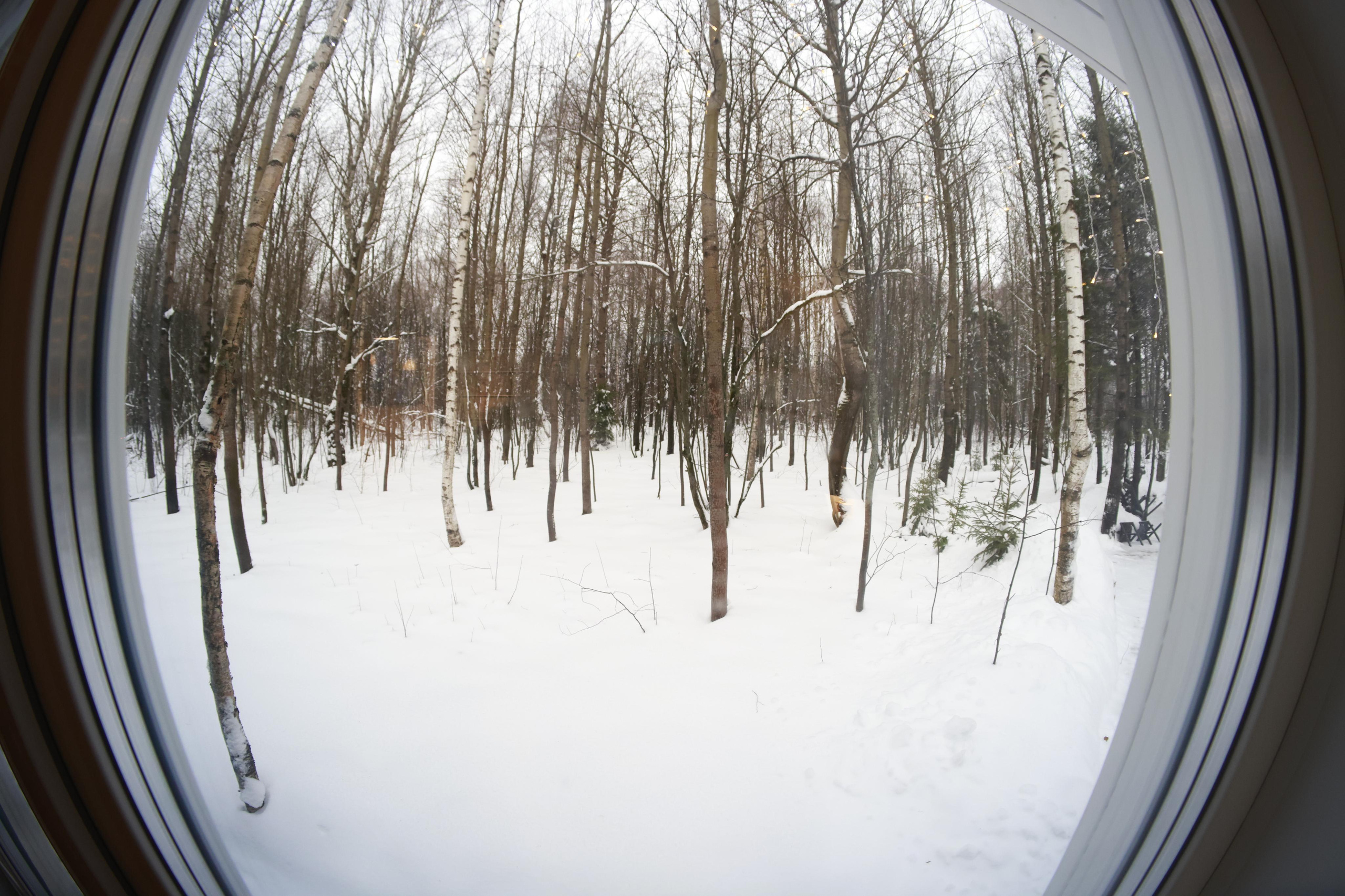 Les_ecovillage. Фотохудожник BID