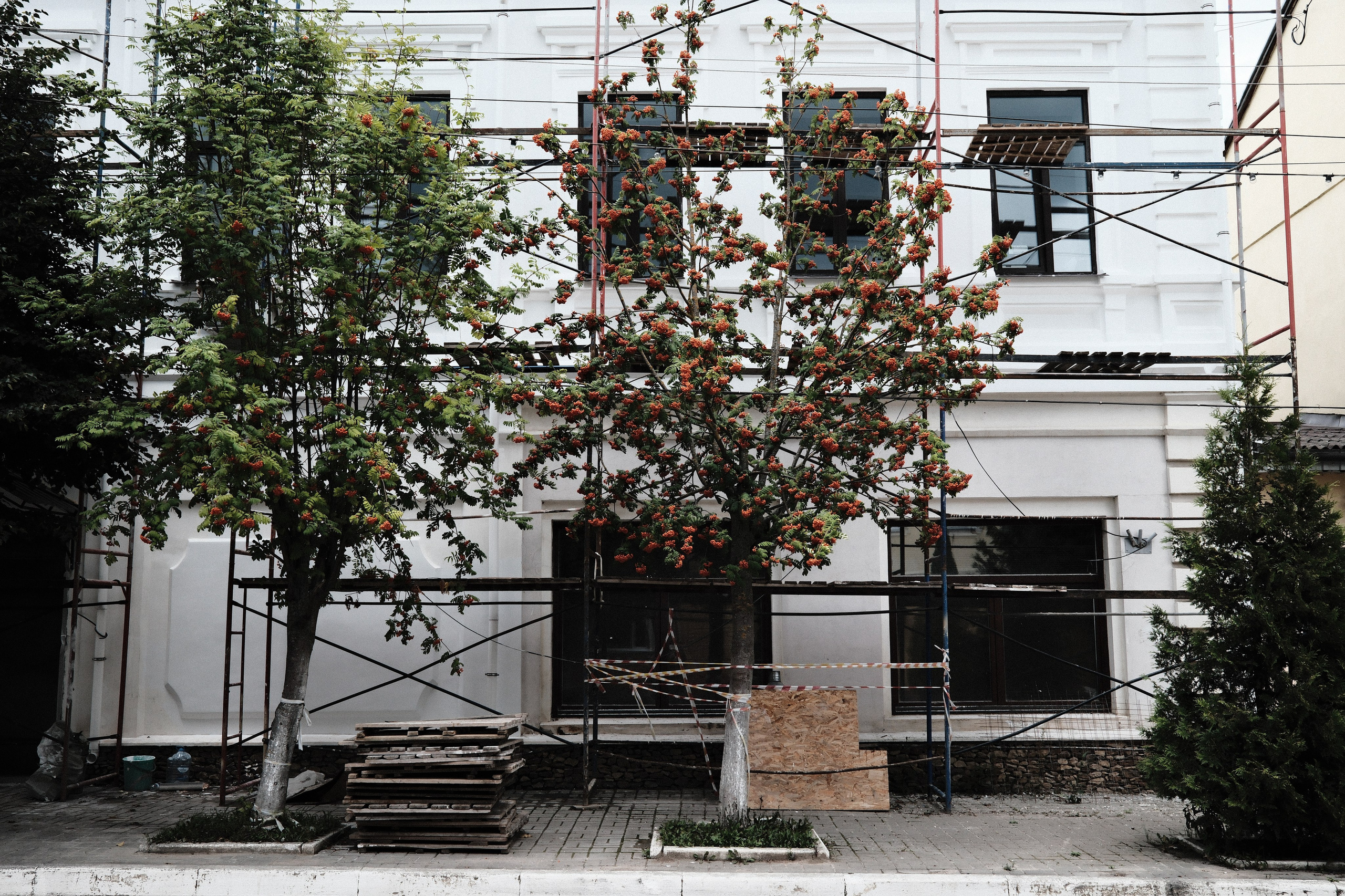 Таруса — город не для всех. Belugin Art