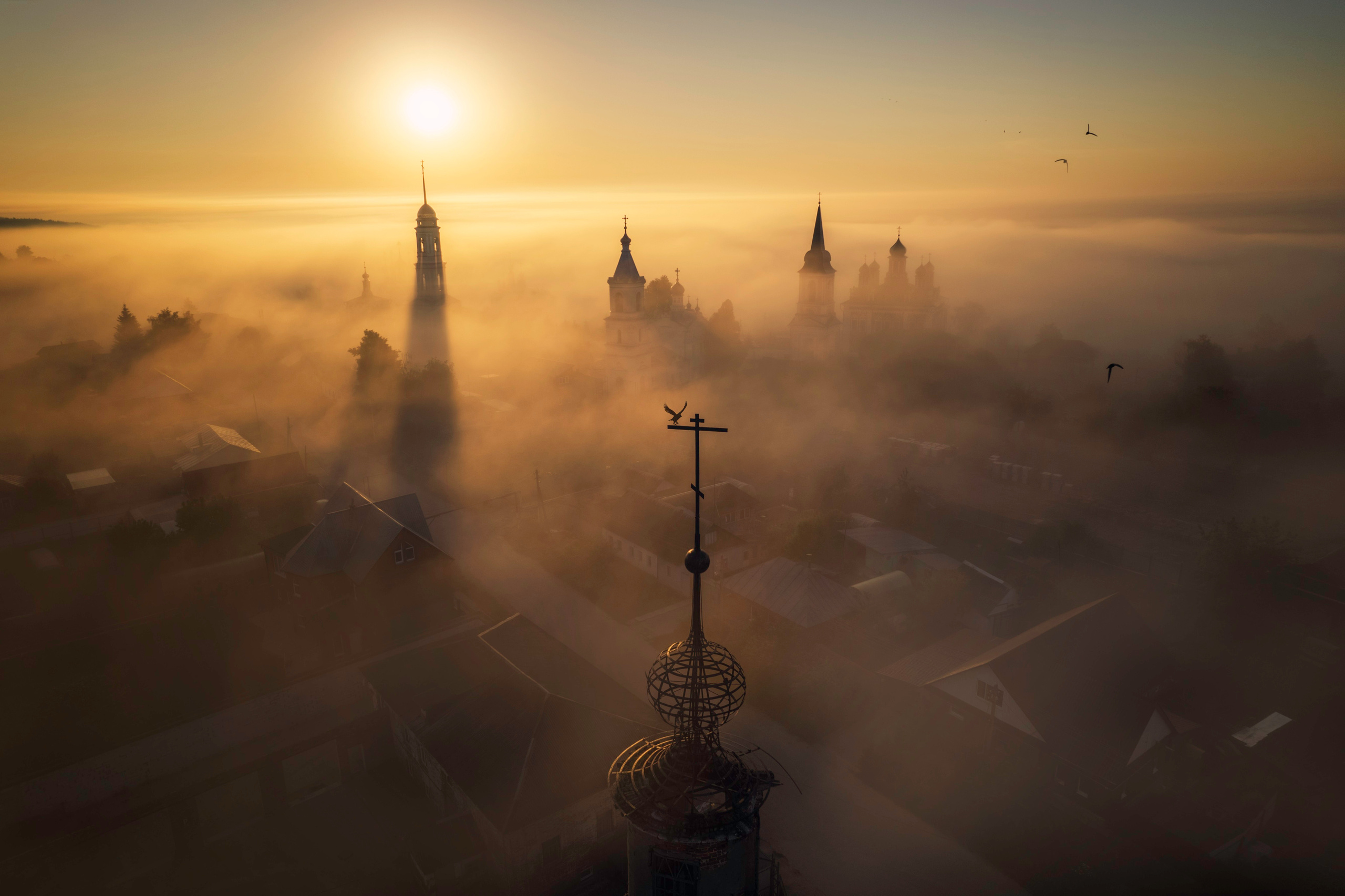 Достижения. Николай Брытков — фотограф в Туле