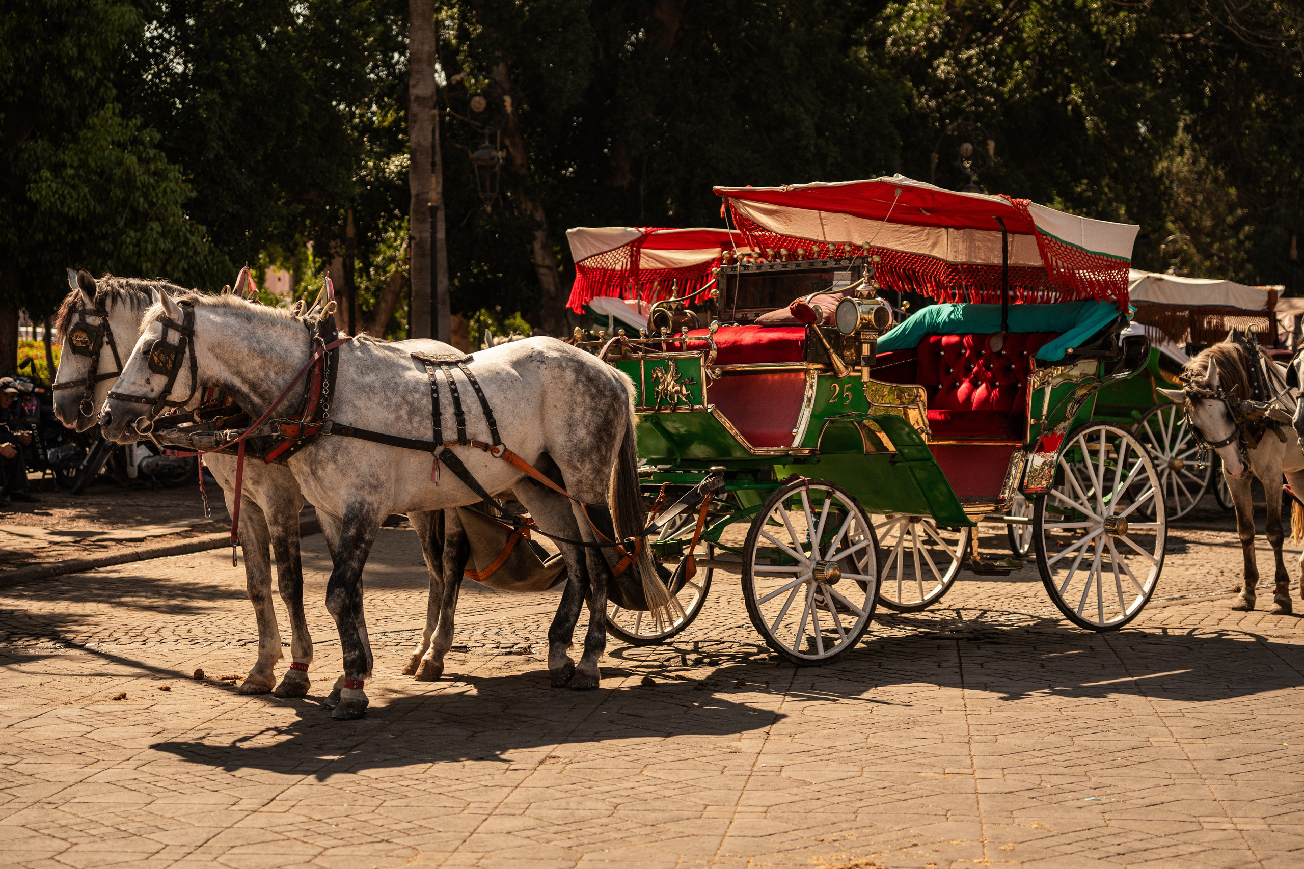 Марокко. Илья Варин — Фотограф Москва, Тверь