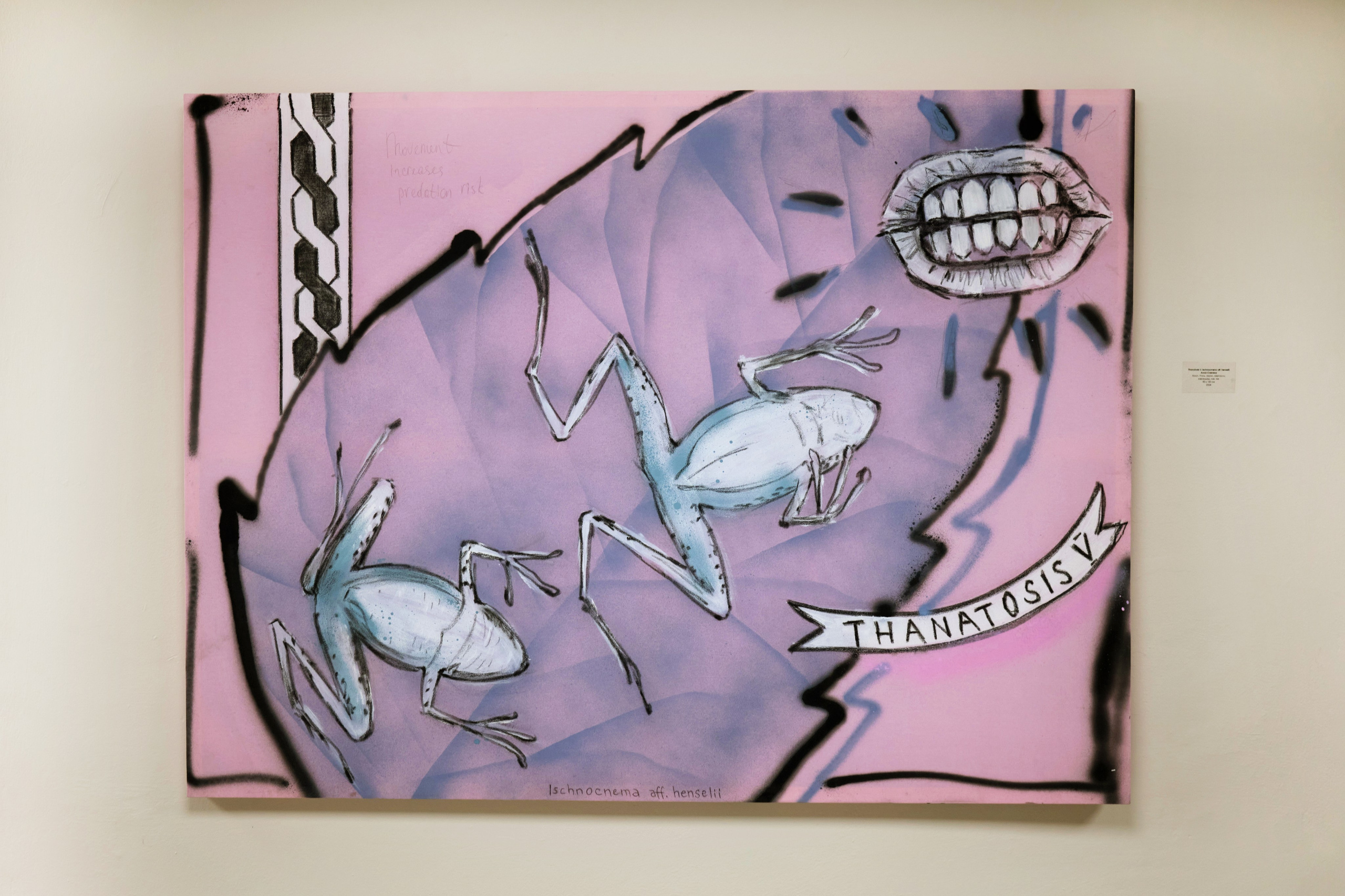 Solo show projects. Artist Anna Snegina Художница Анна Снегина