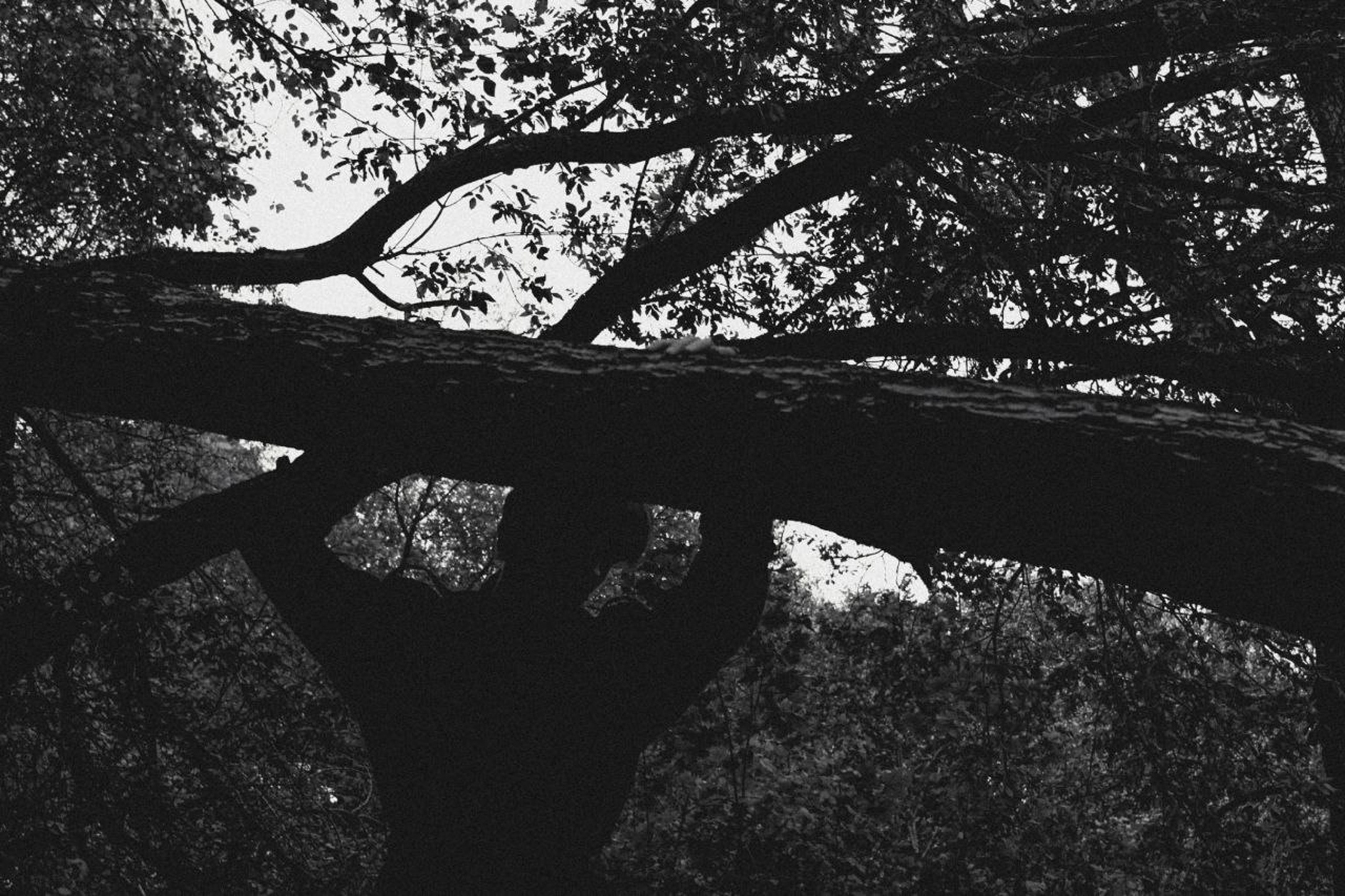 Скитания. Фотограф в Санкт-Петербурге и Нижнем Новгороде Яна Титова