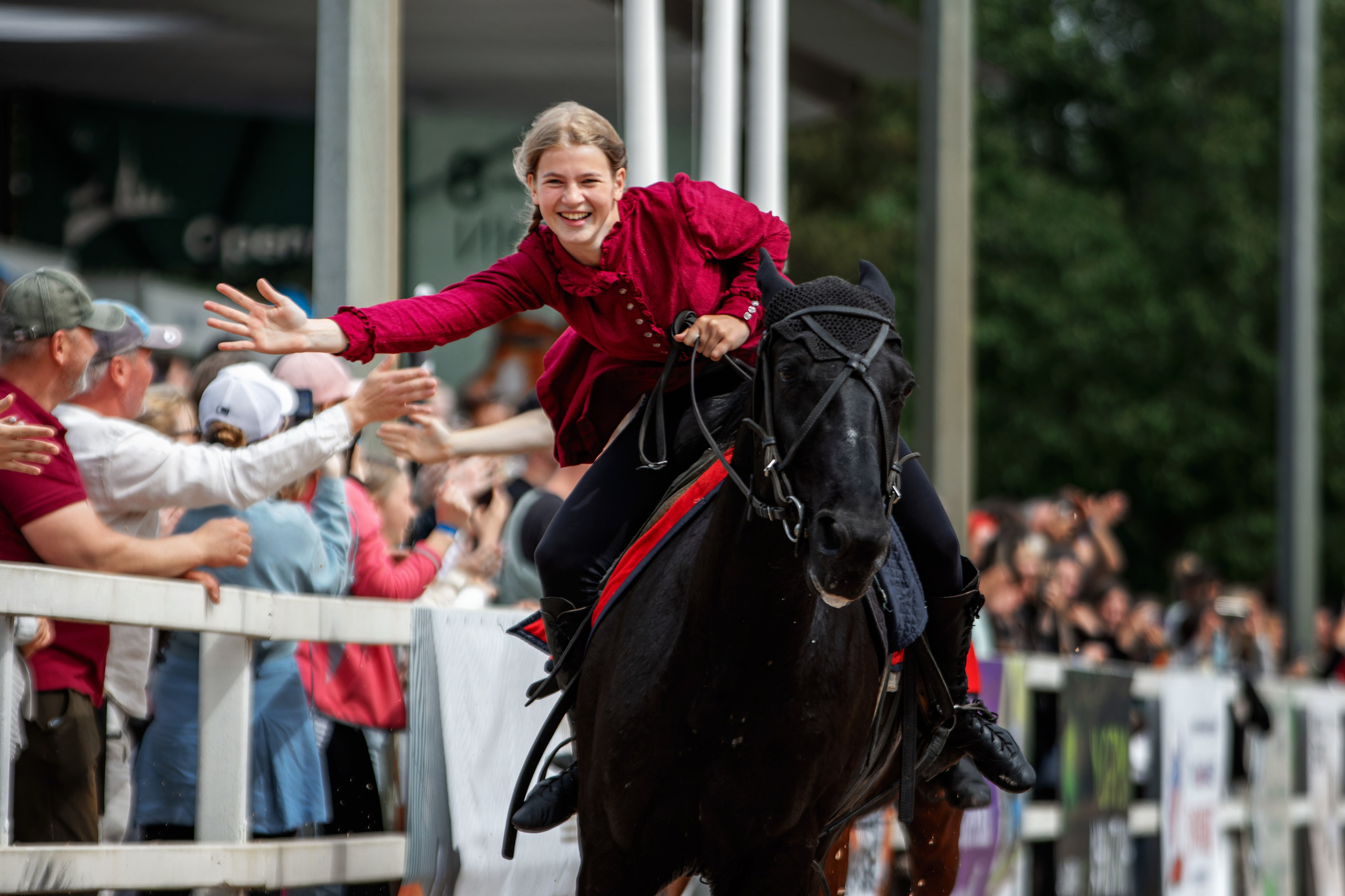 Лошади. Фотограф-анималист Юлия Зубкова