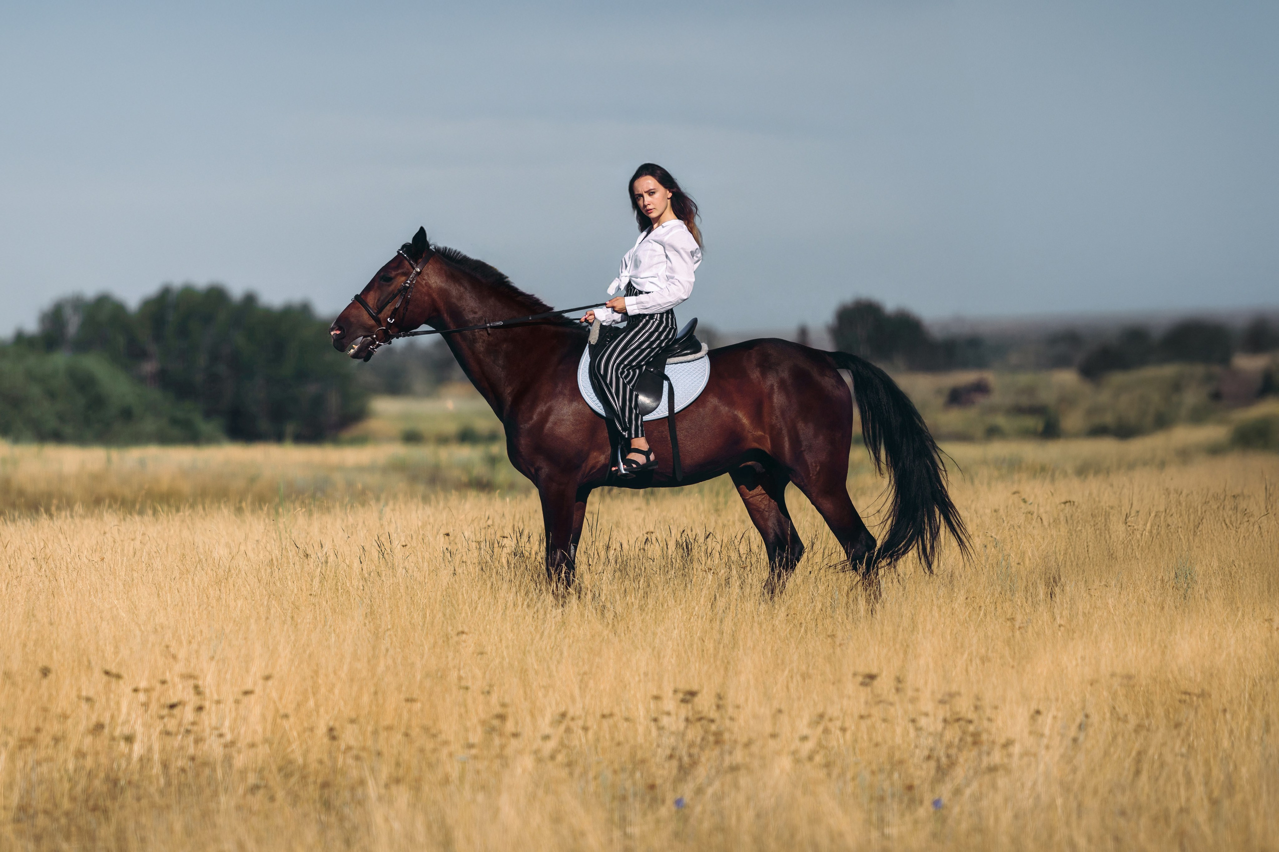 Фотосессия верхом. Фотограф на все случаи жизни: свадьбы, портреты, семейные и творческие съемки в Башкирии и городах региона