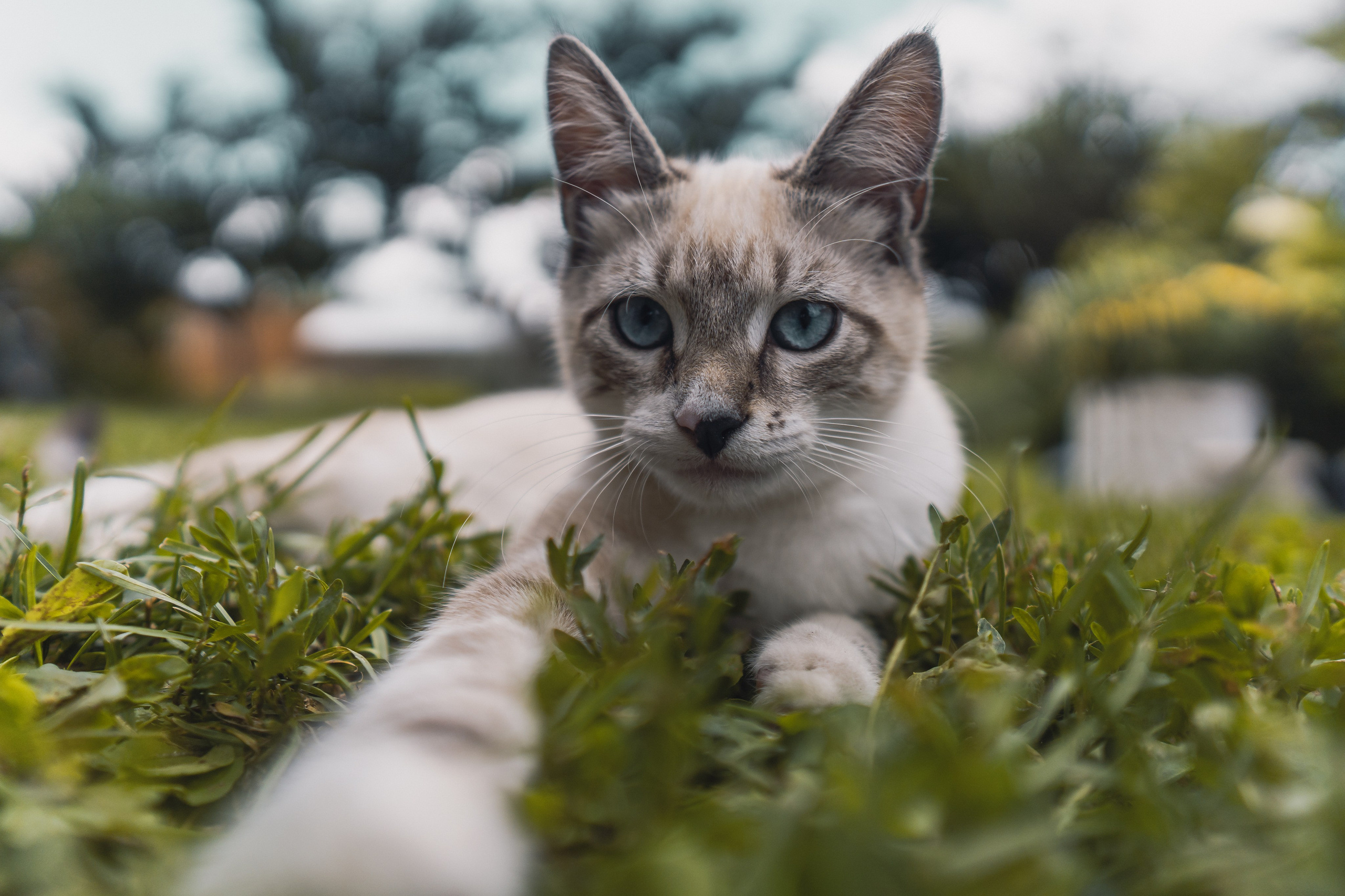 Итоги 2025. Саватейкин Ярослав | Портретный фотограф в Москве