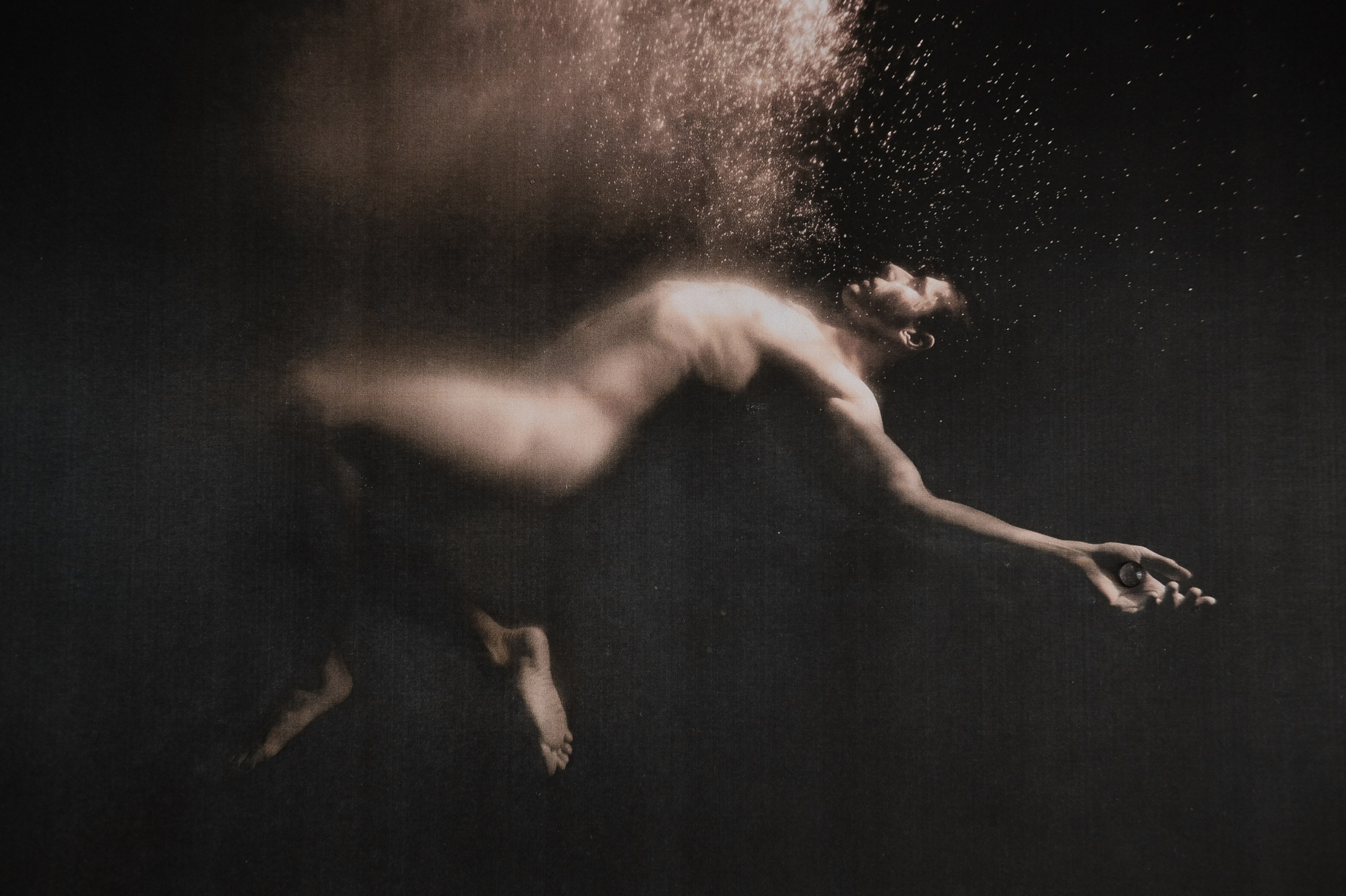 MORPHOLOGY OF THE UNIVERSE. VISUAL ARTIST. OLGA ZHDANOVA