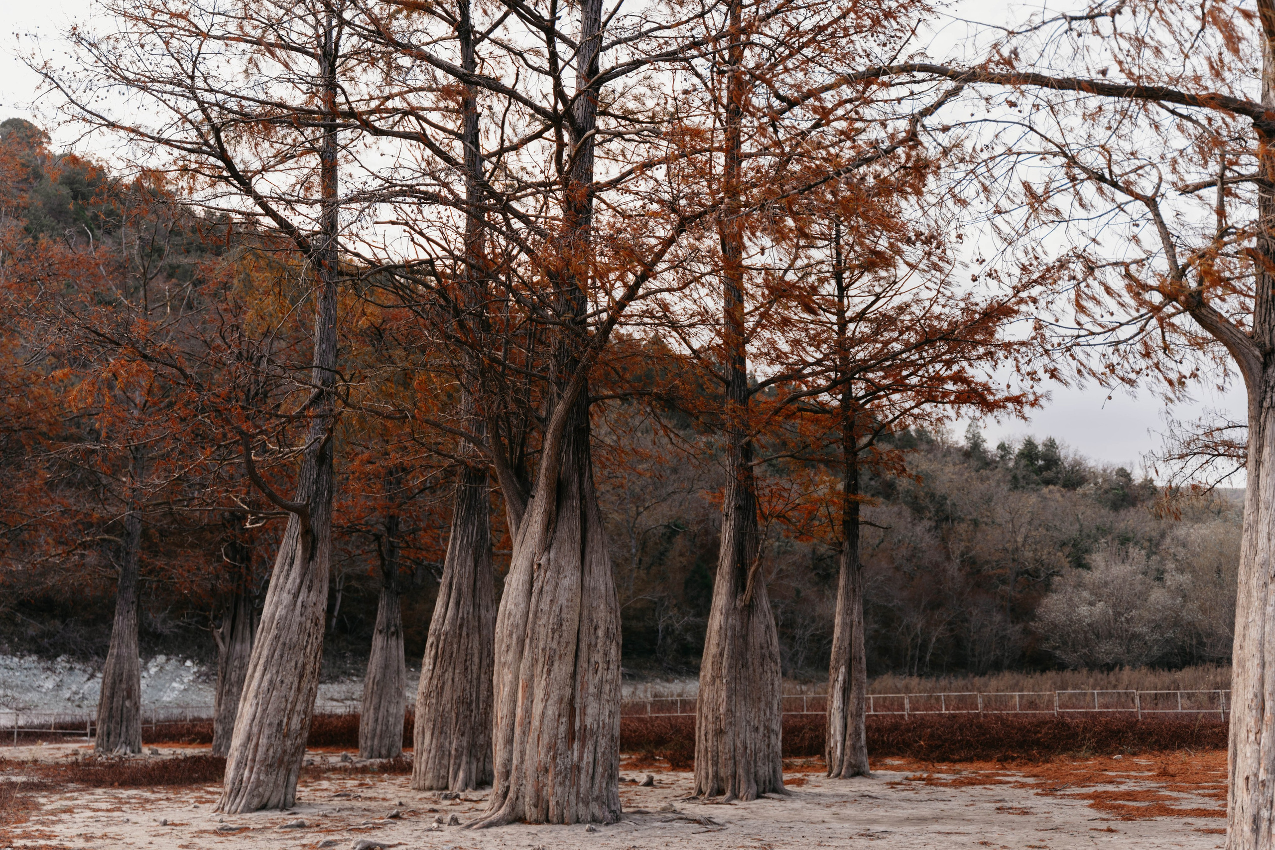 Локации для фотосесии в Анапе, Темрюке, Витязево. Фотограф в Анапе Татьяна Тагель: свадебные и семейные фотосессии