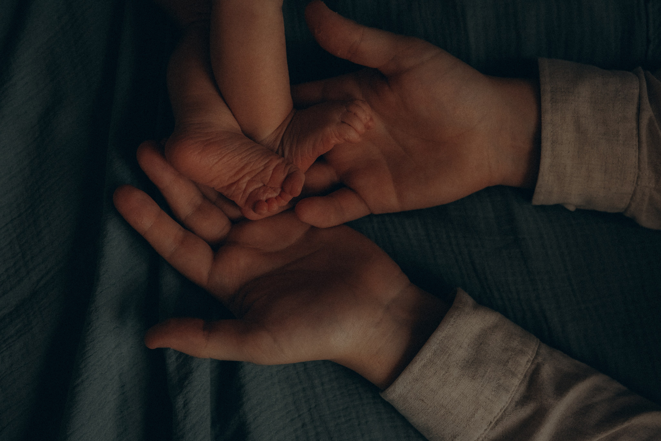 Услуги. Фотограф Челябинск Варвара Шарапова