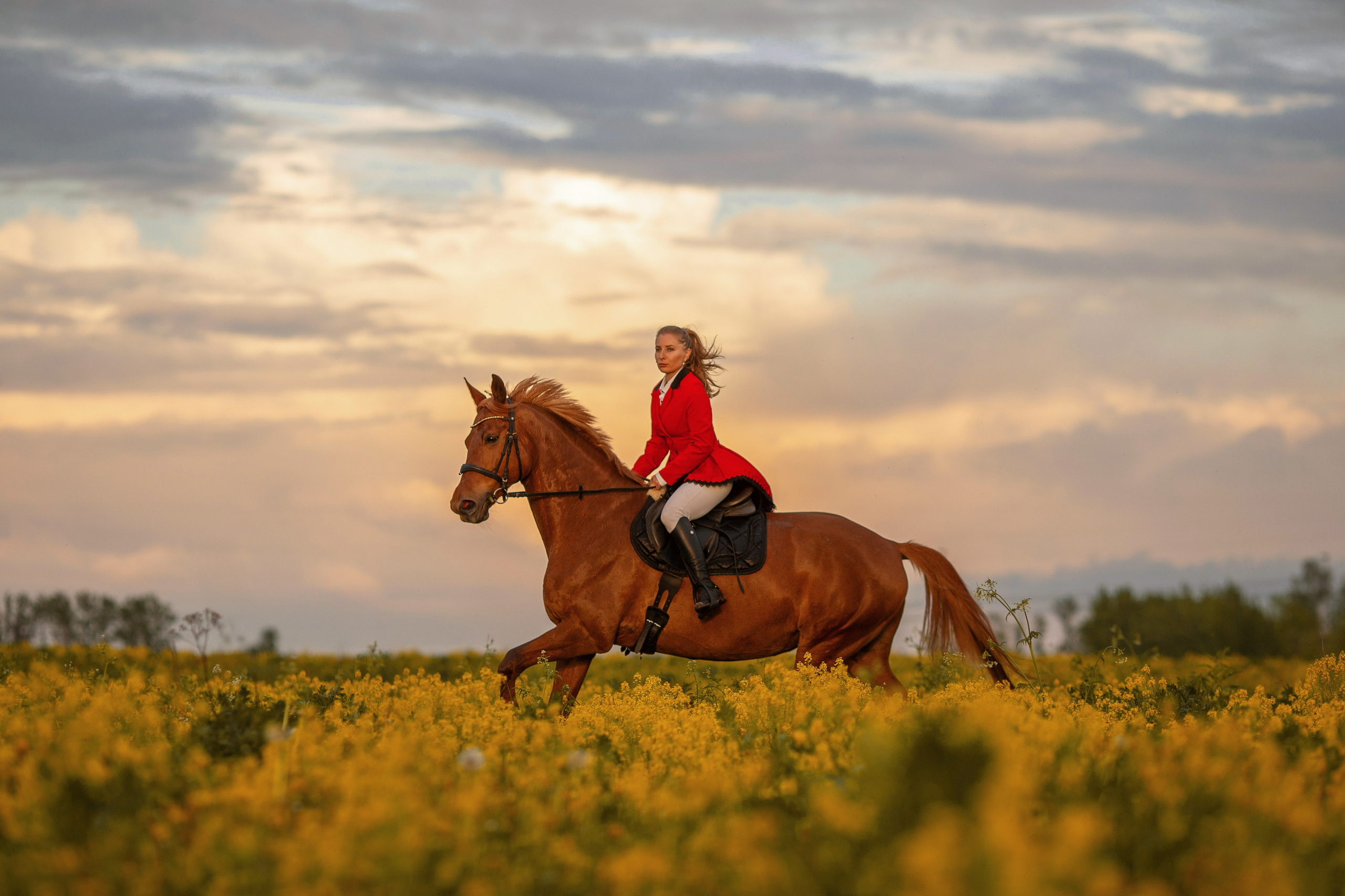 Фотосессия в цветущем поле