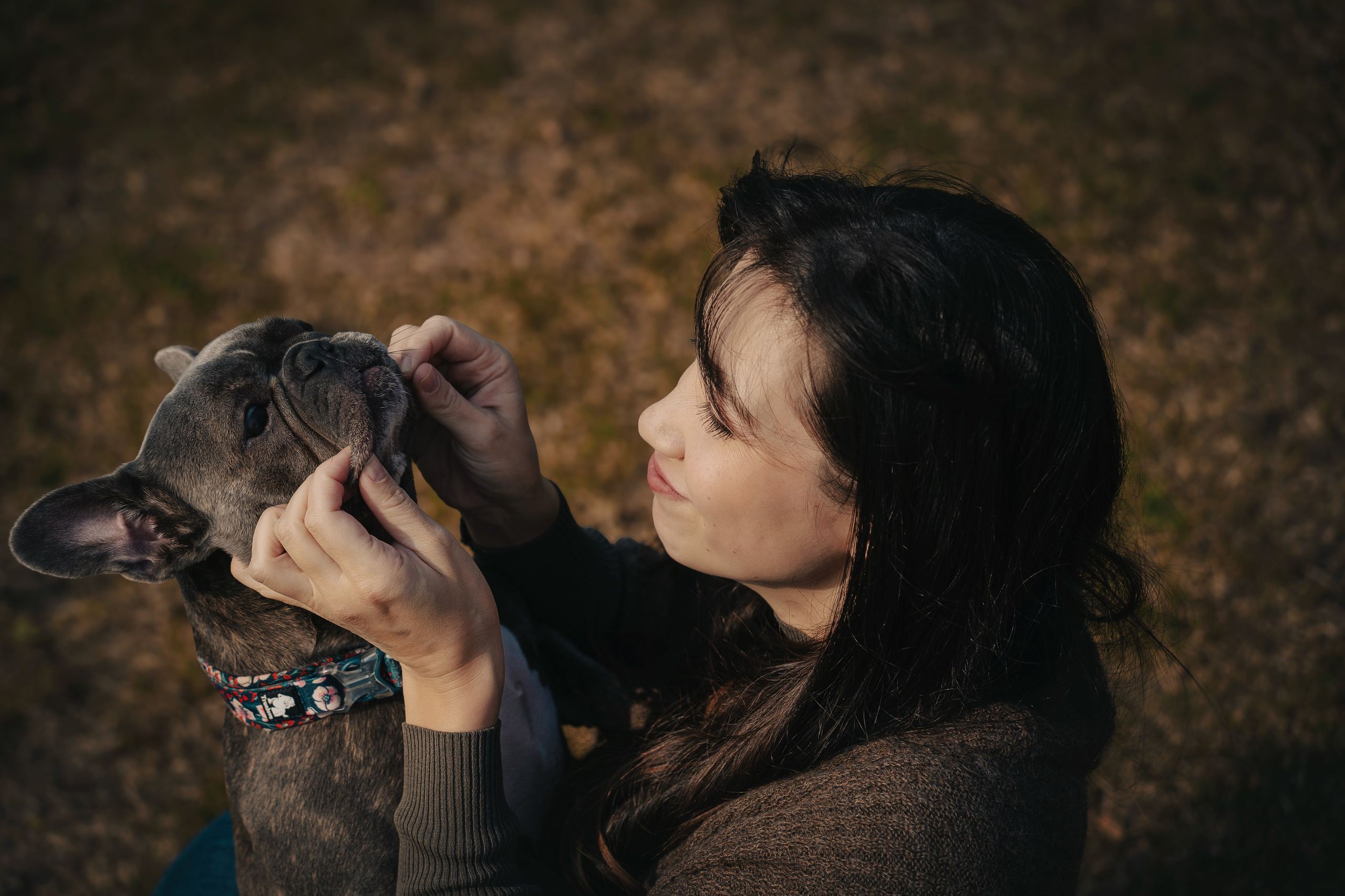 Услуги. Семейный фотограф анималист г. Находка