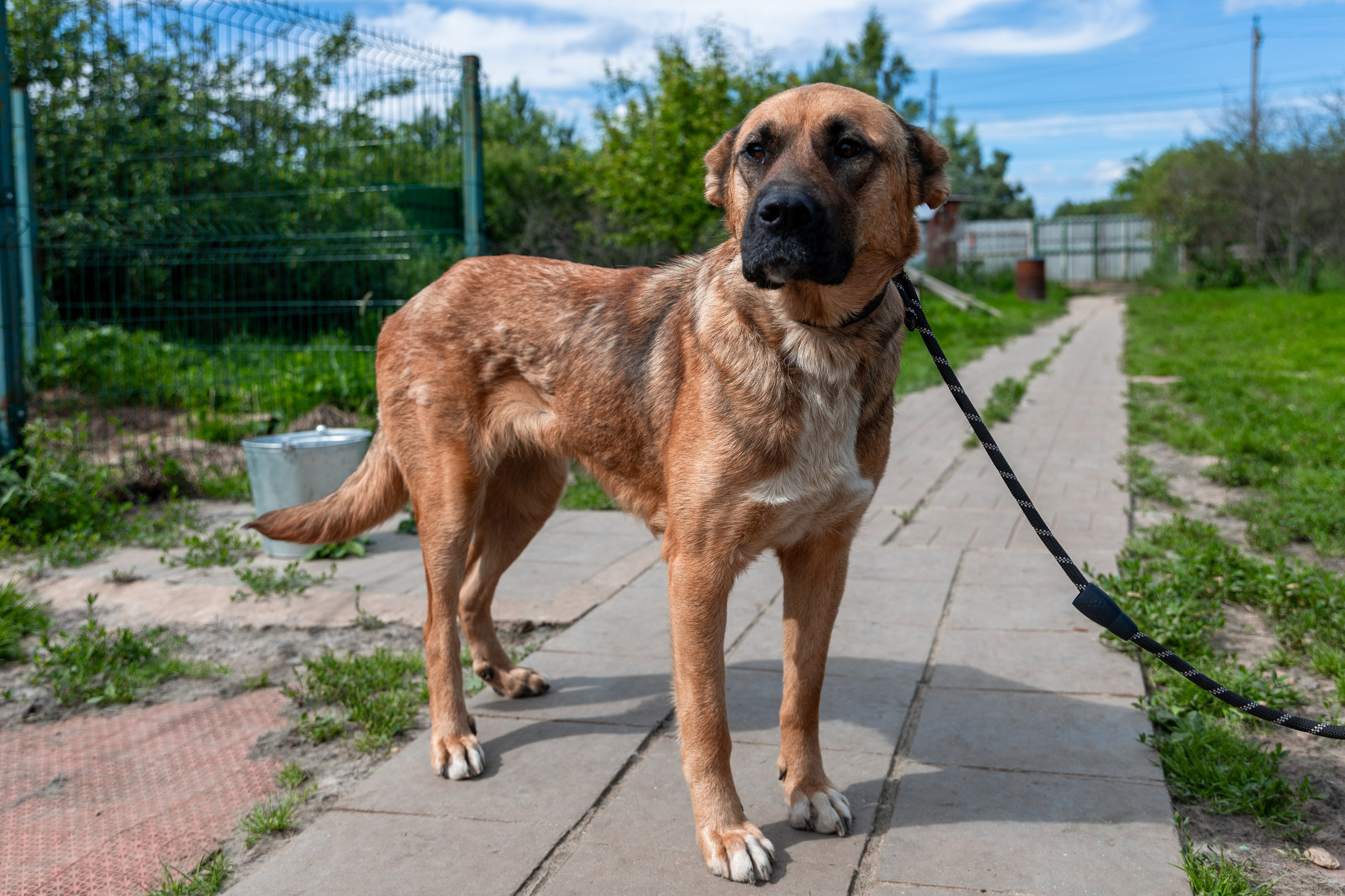 Priyut-gostinica. Professional photographer Alexey Nikitin in Moscow