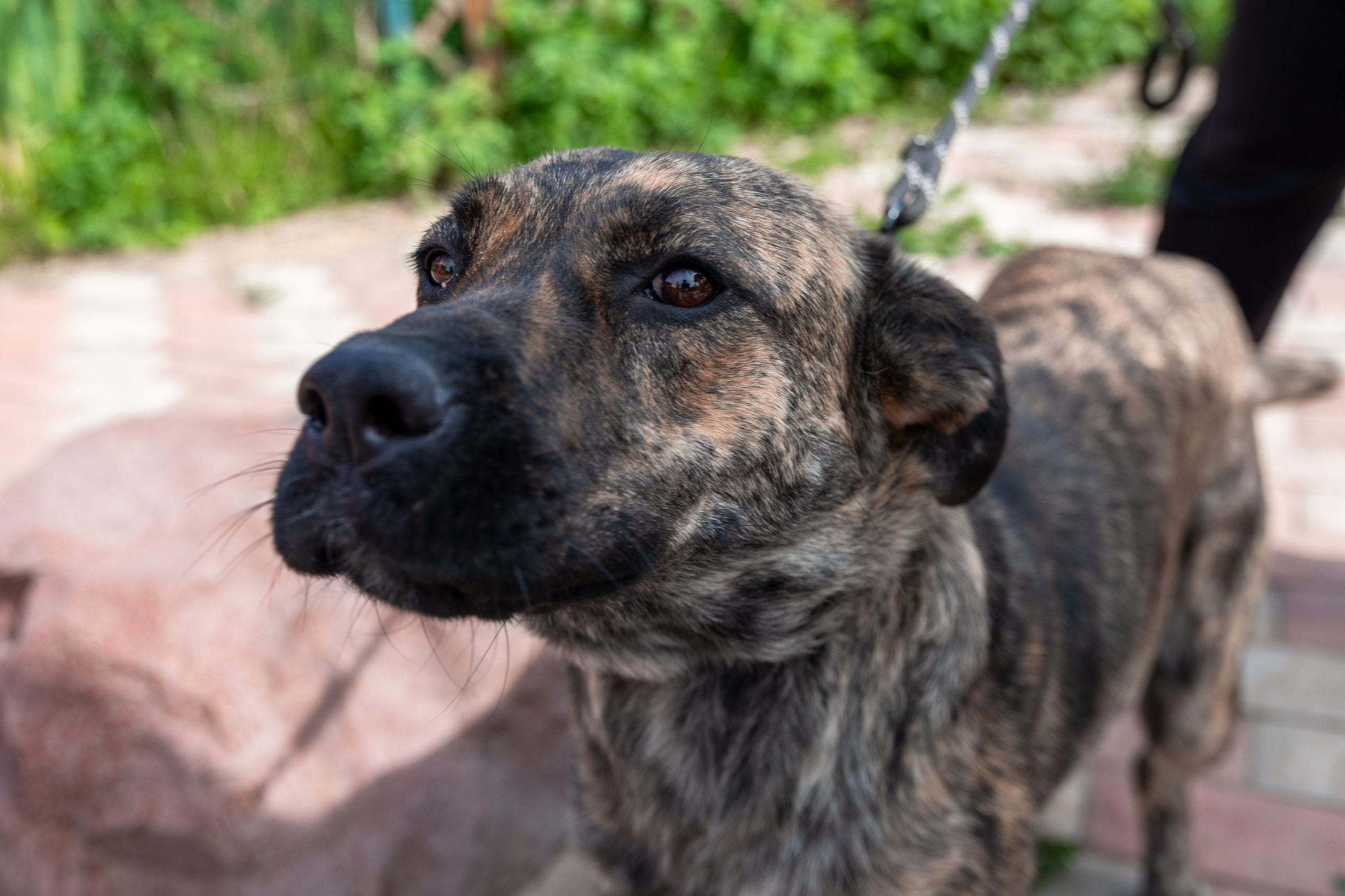 Priyut-gostinica. Professional photographer Alexey Nikitin in Moscow