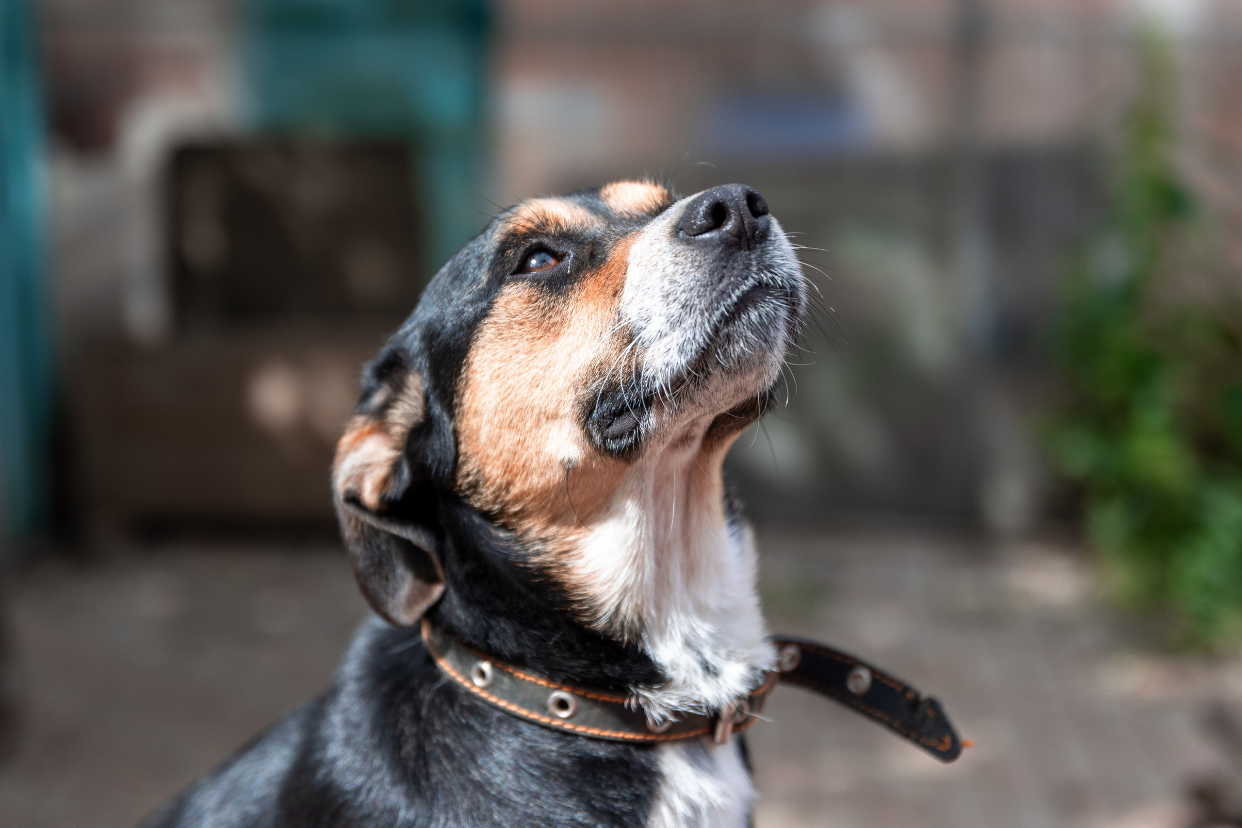 Priyut-gostinica. Professional photographer Alexey Nikitin in Moscow