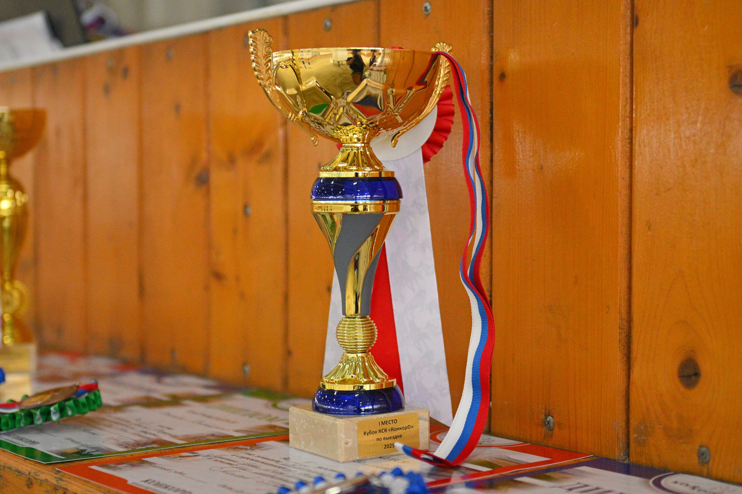 2025.07.20 — КСК «КОНКОРД» ЛЕТНИЙ КУБОК (ВЫЕЗДКА). ТУРНИРНАЯ КОННАЯ ФОТОГРАФИЯ, Руднева Ольга и Евгений Адеев