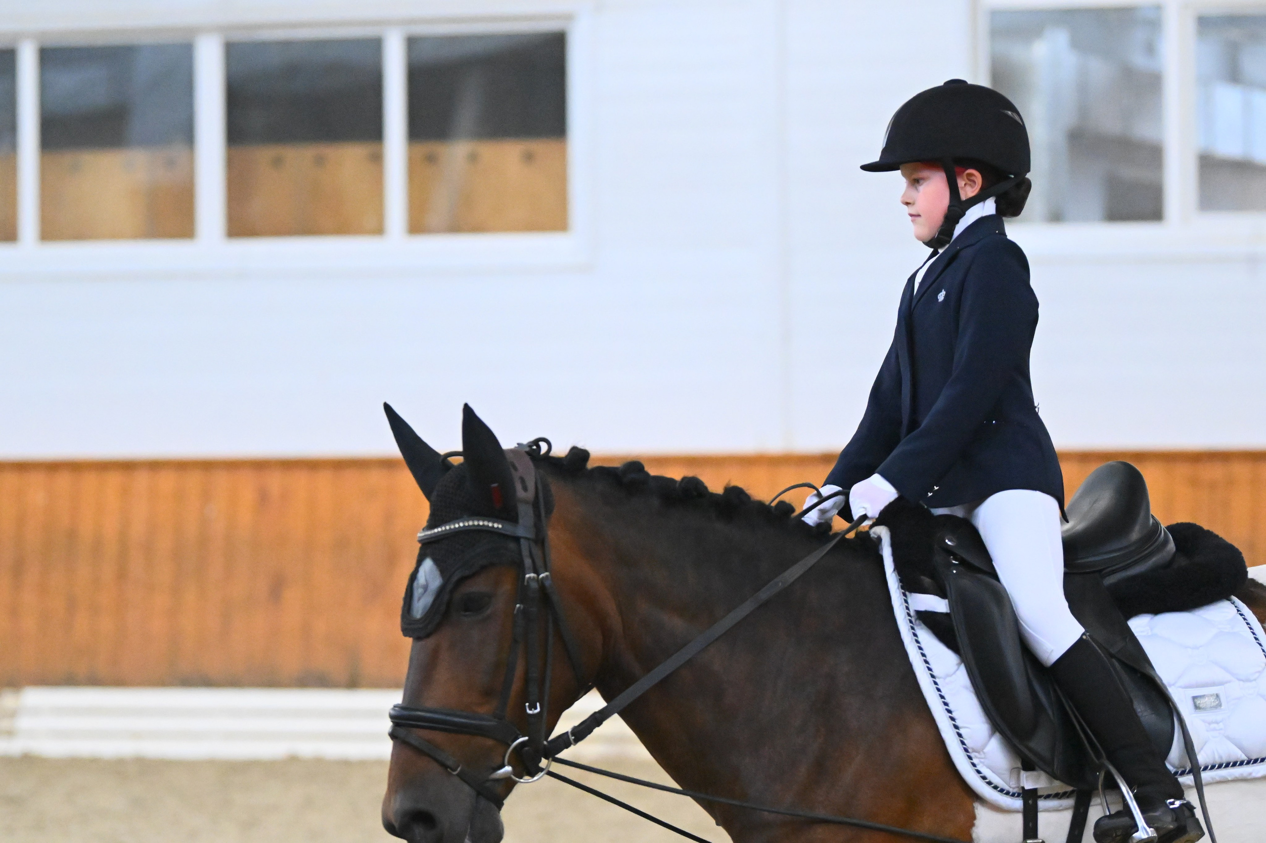 2025.07.20 — КСК «КОНКОРД» ЛЕТНИЙ КУБОК (ВЫЕЗДКА). ТУРНИРНАЯ КОННАЯ ФОТОГРАФИЯ, Руднева Ольга и Евгений Адеев