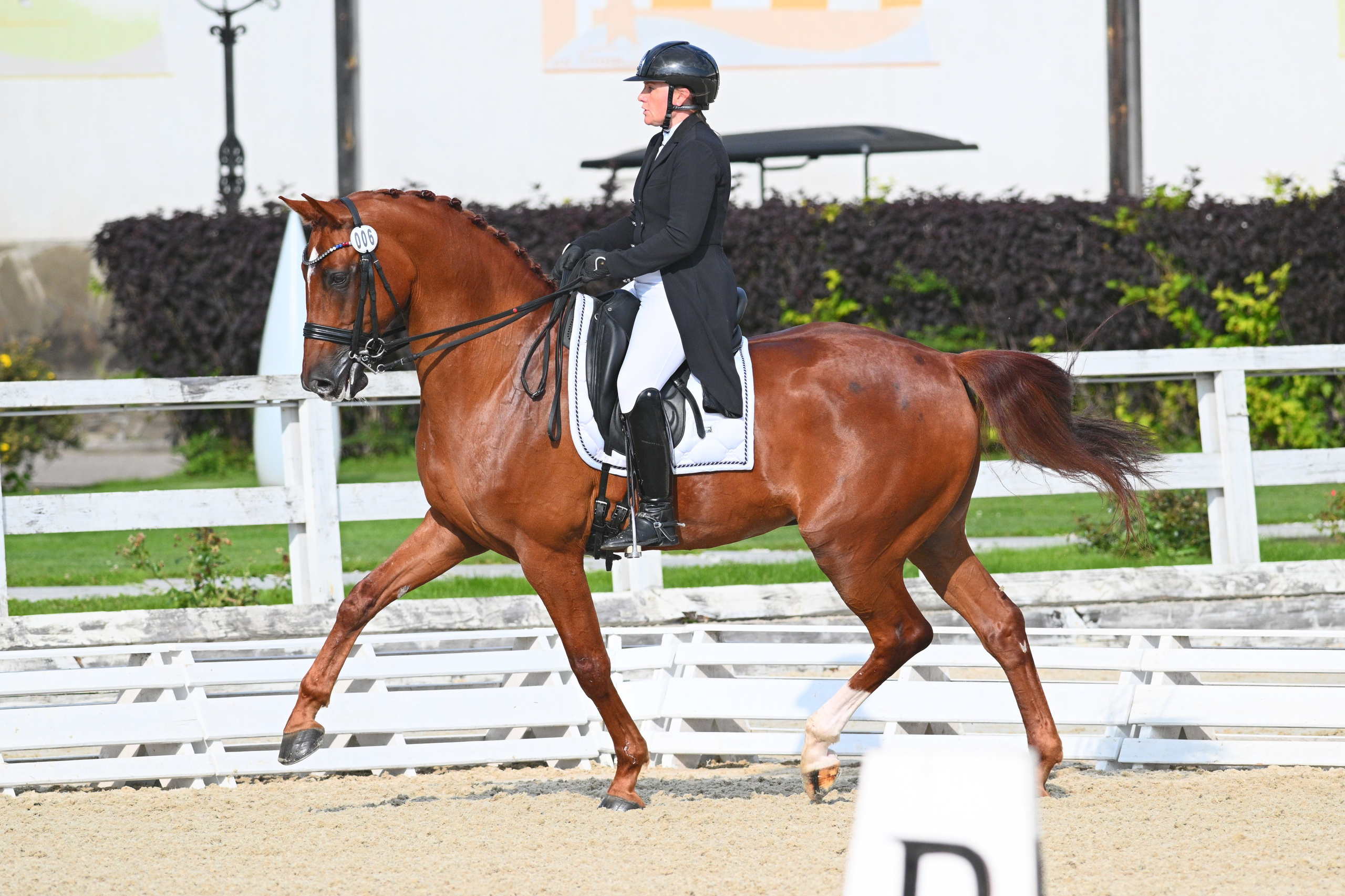 2025.08.29-31 + 09.05 — ВЫЕЗДКА В КСК ОТРАДА (ВСЕРОССИЙСКИЕ И МУНИЦ). ТУРНИРНАЯ КОННАЯ ФОТОГРАФИЯ, Руднева Ольга и Евгений Адеев