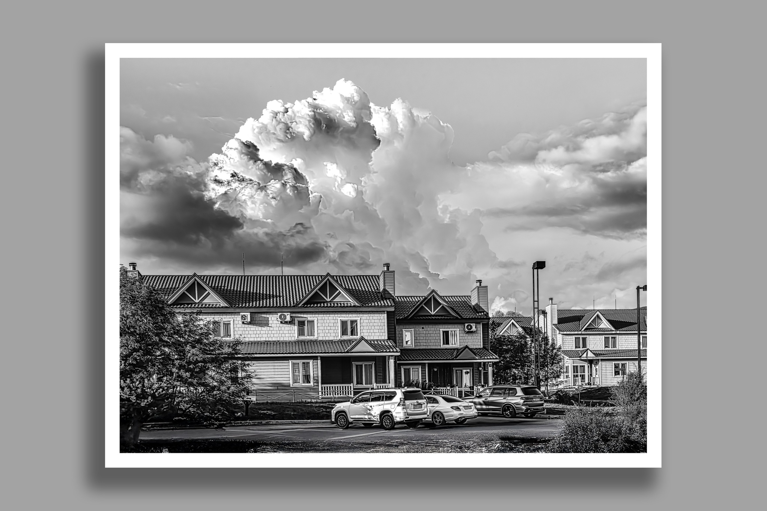 Черно-Белая Ч/Б коттедж домик деревня архитектура земляничные холмы