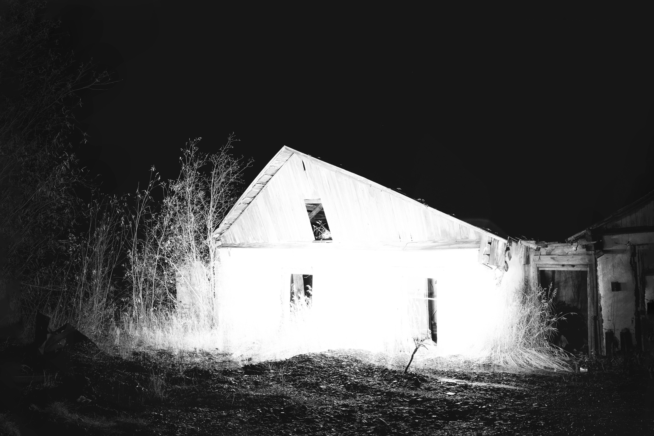 Купить принты. Планета Колыма. Элина Гусарова