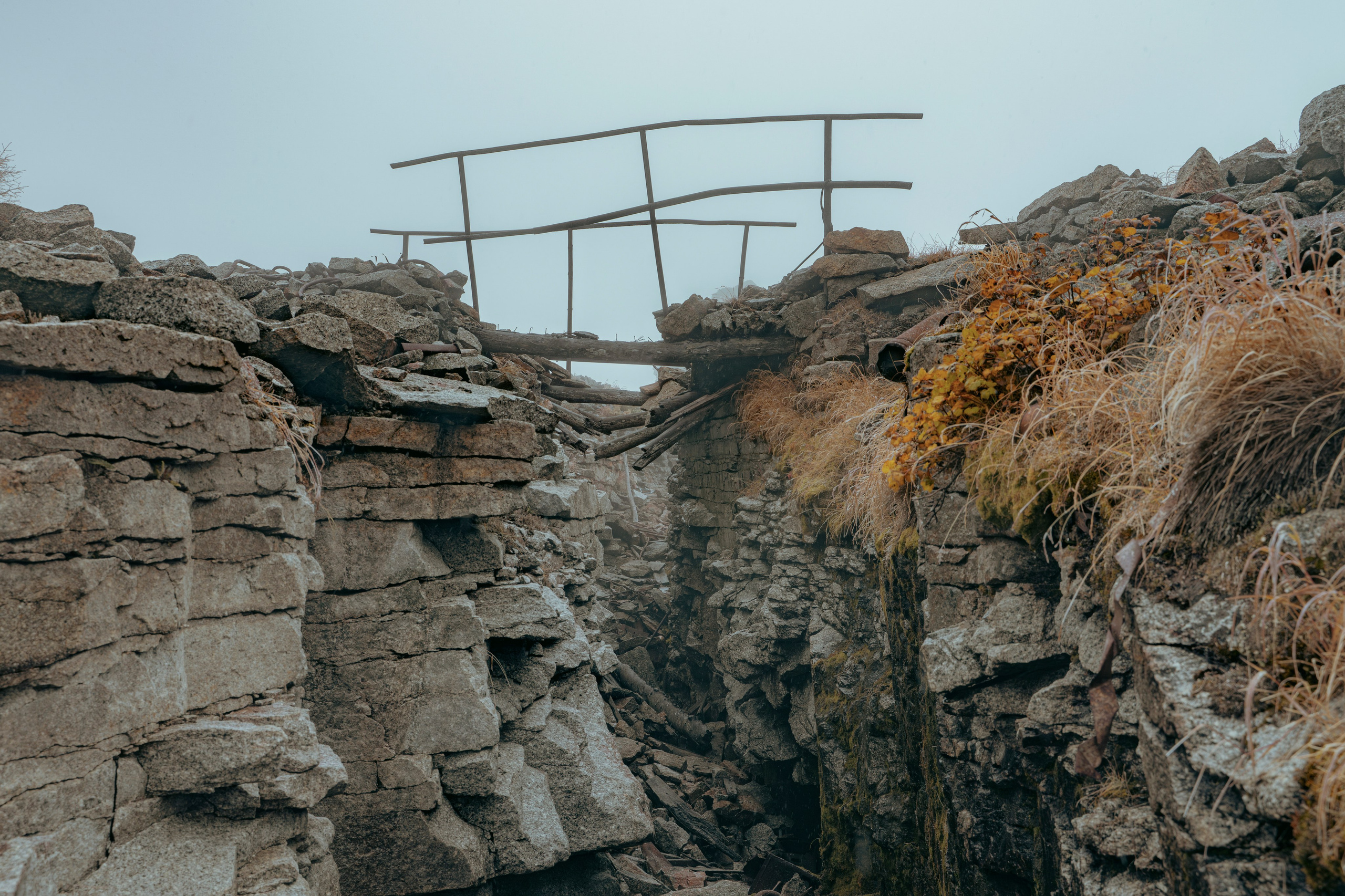 Купить принты. Планета Колыма. Elina Gusarova