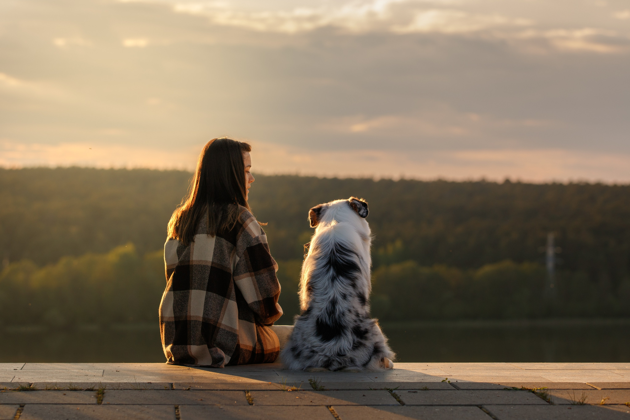 Услуги. Фотограф-анималист в Калуге Мария Шерскова