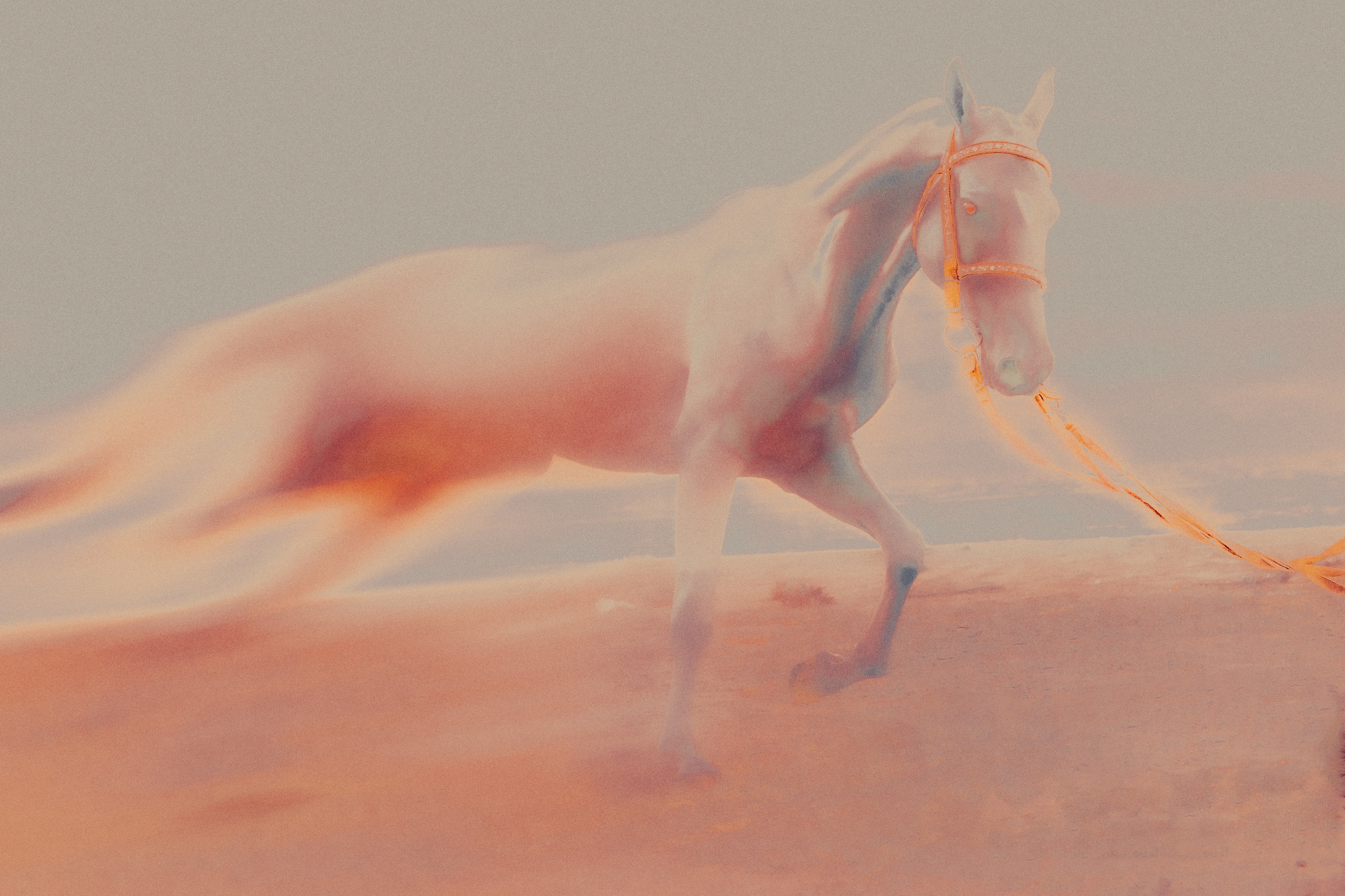 ХРАНИТЕЛИ. Фотограф, визуальный артист Наташа Солнцева, Москва