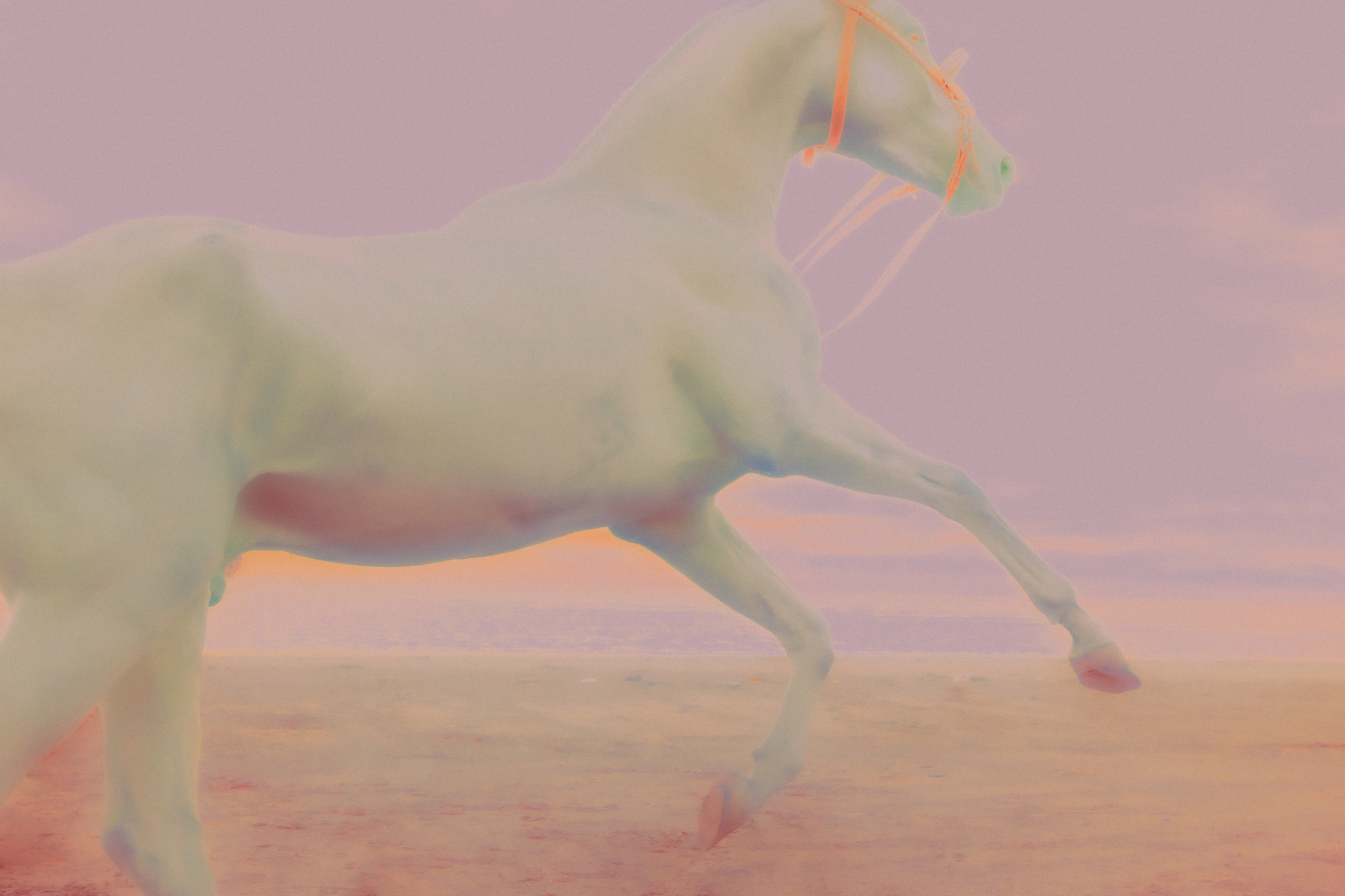 ХРАНИТЕЛИ. Фотограф, визуальный артист Наташа Солнцева, Москва