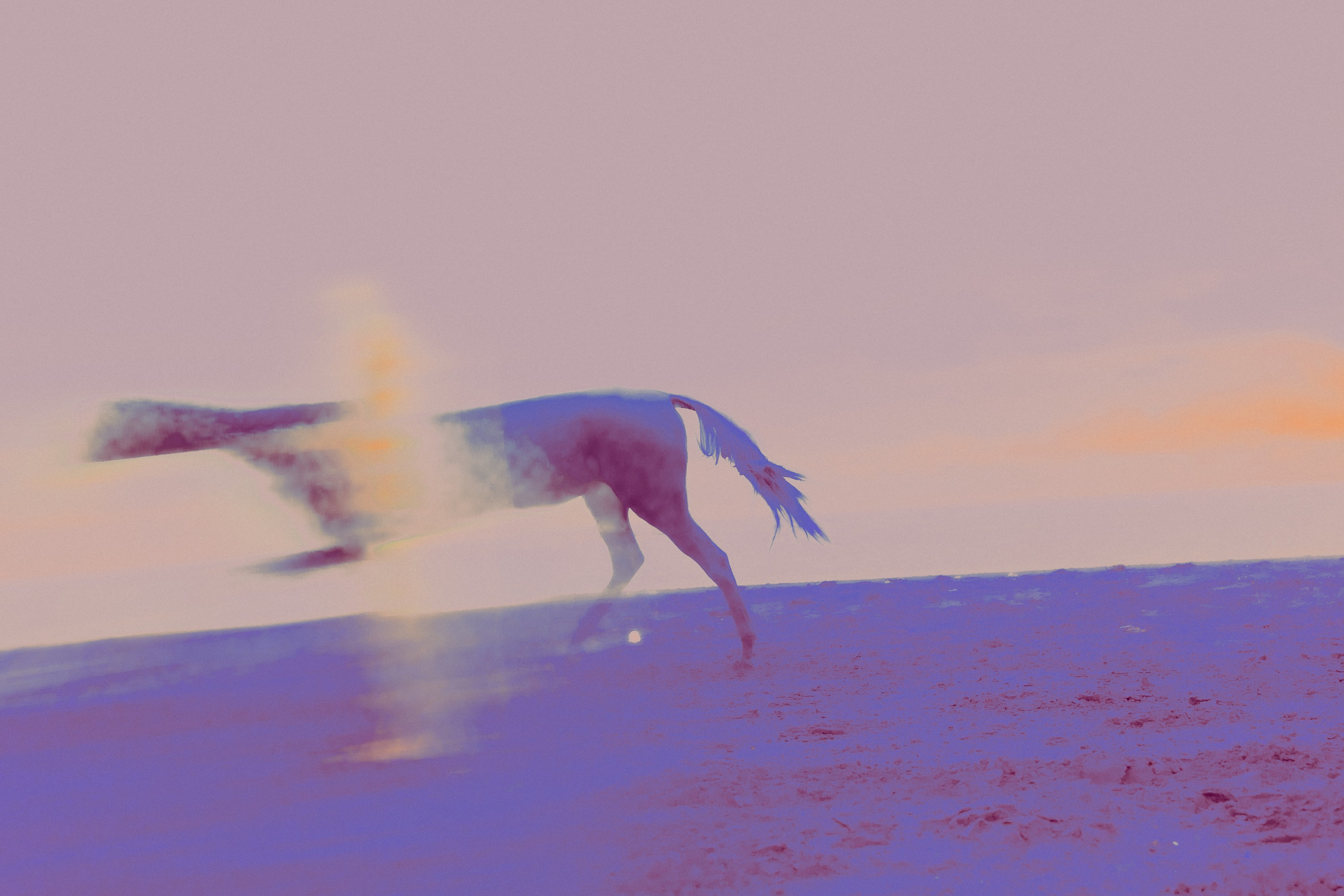 ХРАНИТЕЛИ. Фотограф, визуальный артист Наташа Солнцева, Москва