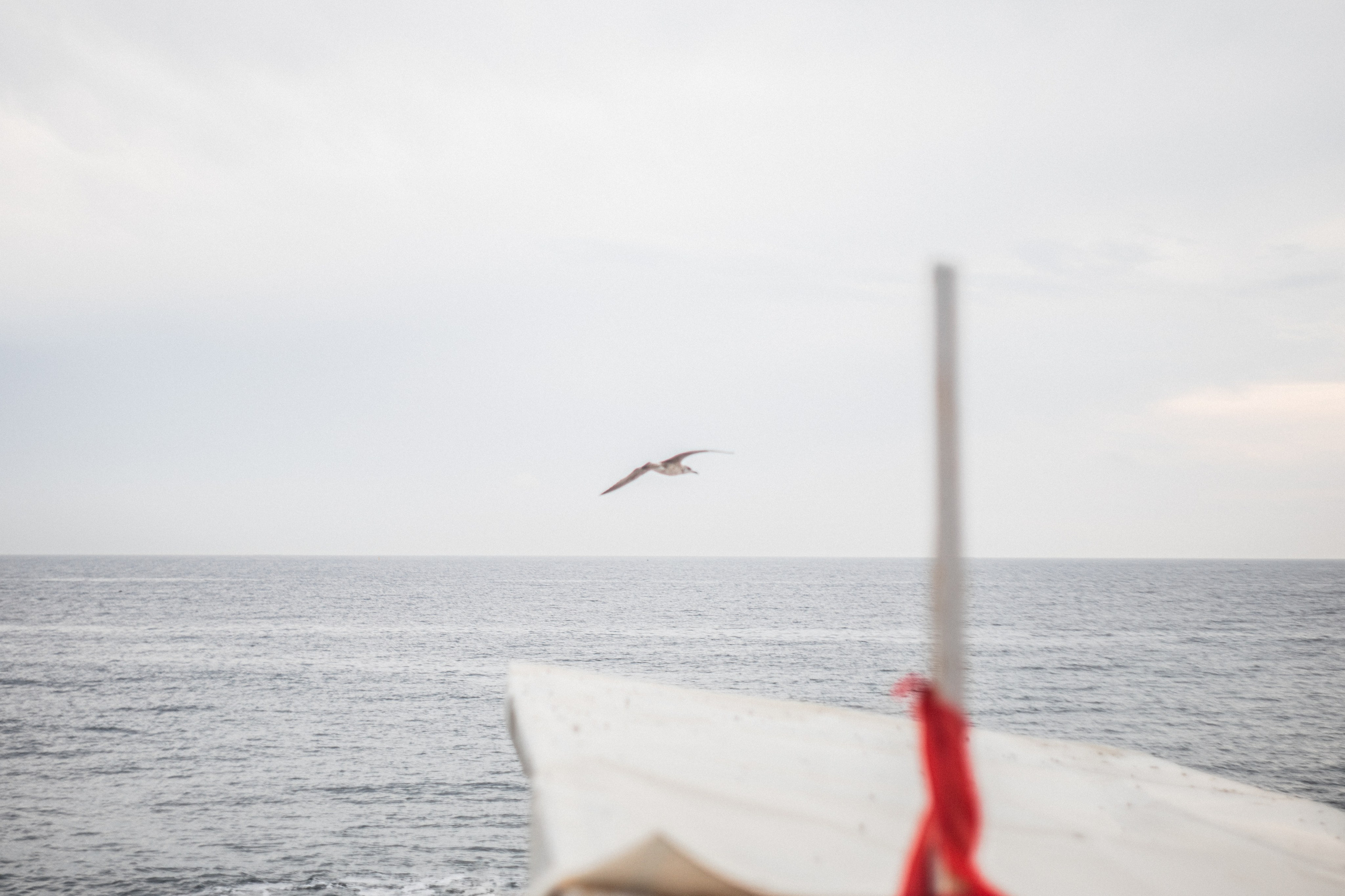 Selected Art Works. Anna Esquilin Art Photographer