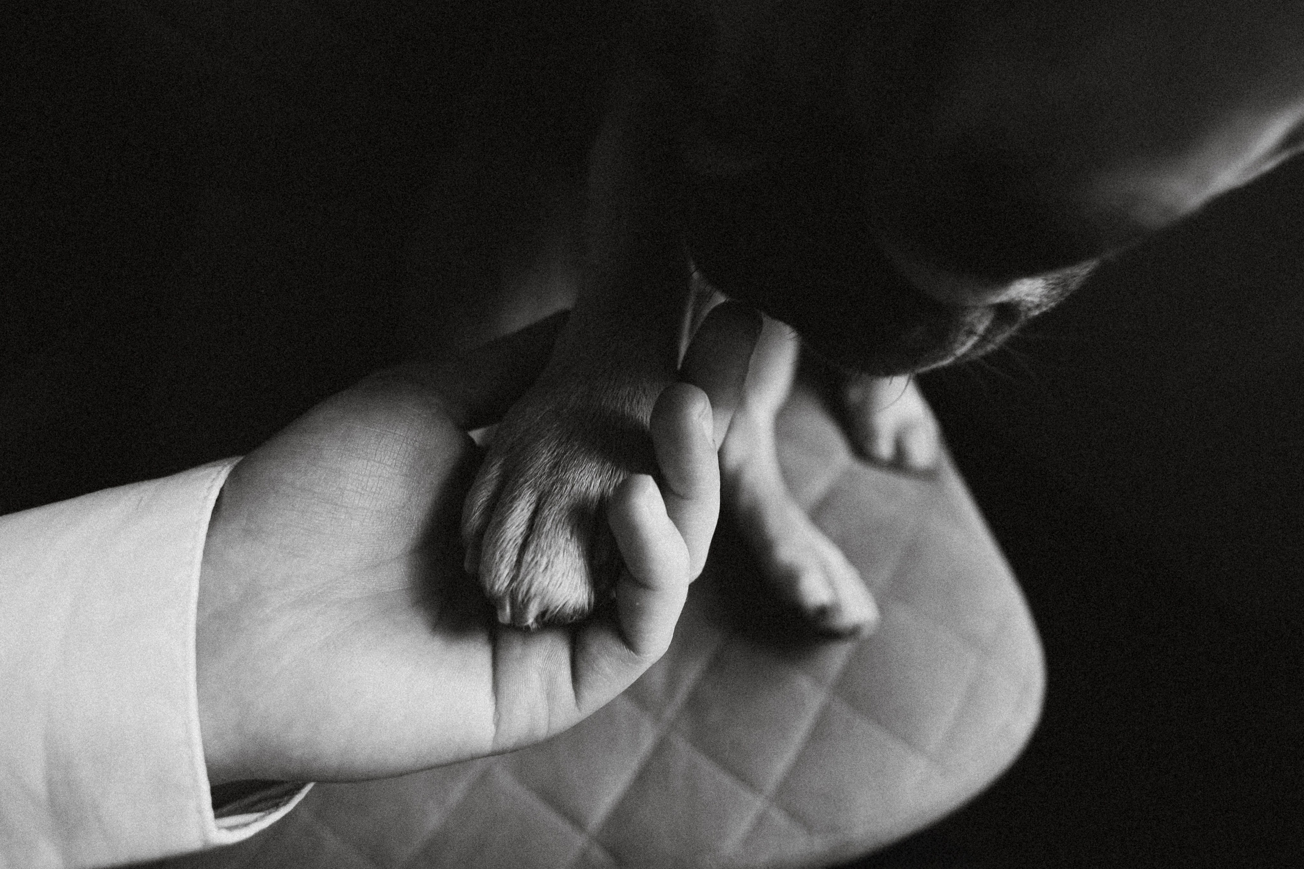 Как фотографу оценивать свои работы и не занижать стоимость