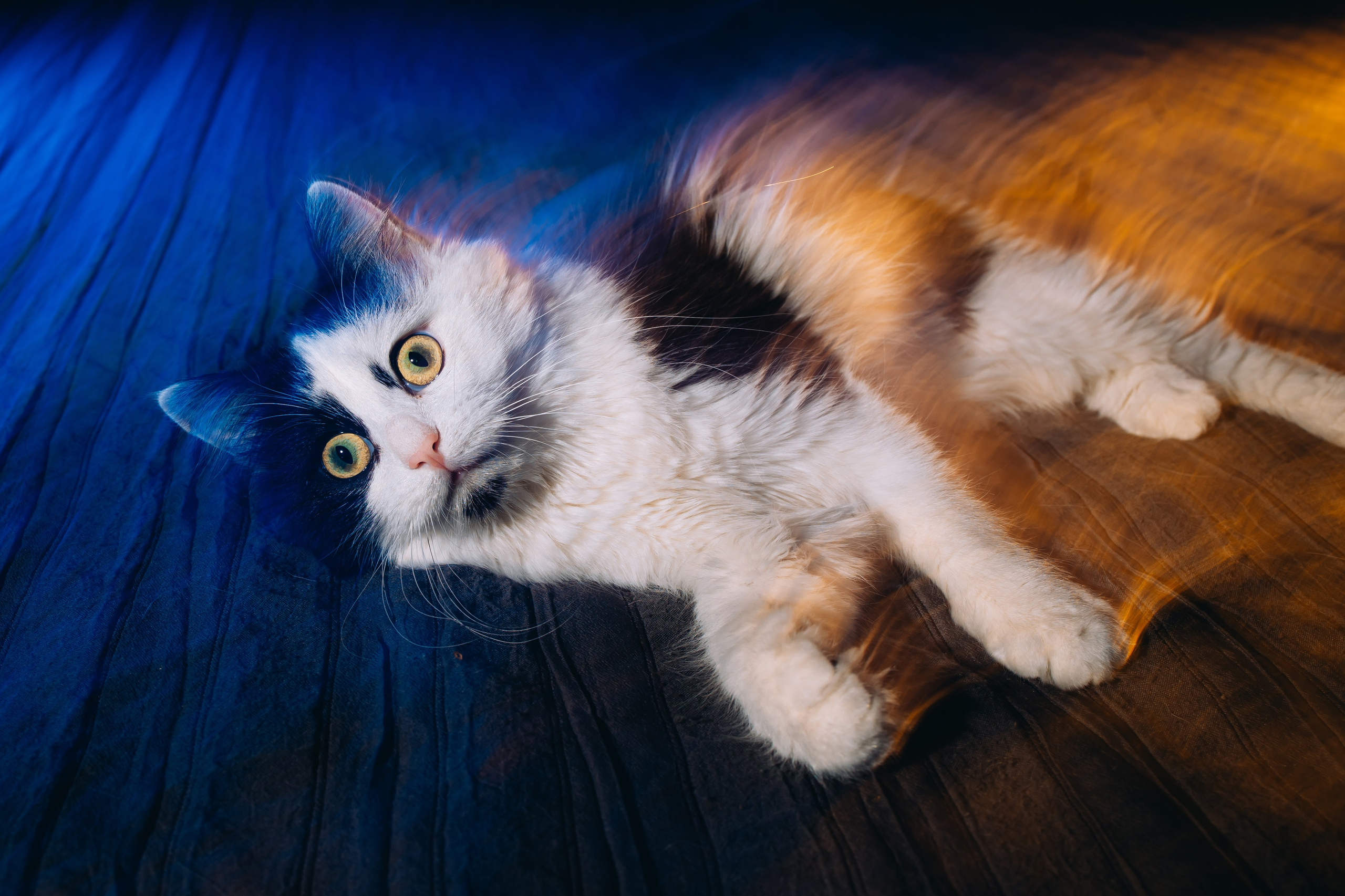 Как снимать со смешанным светом: создаем магию в кадре