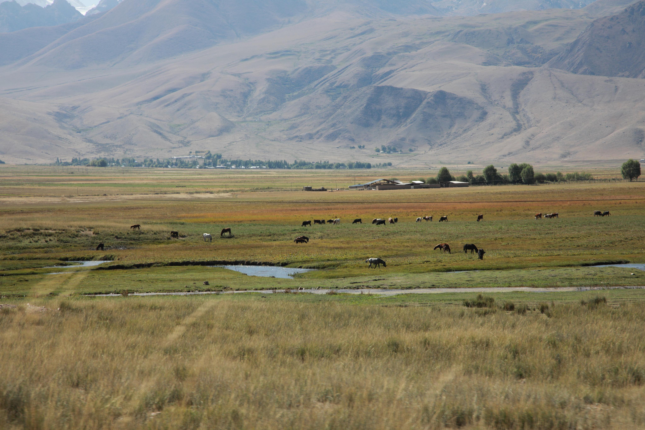 Clients and  partners. Daria Chartoriyskaya — director, producer, photographer, artist, journalist, clinical psychologist