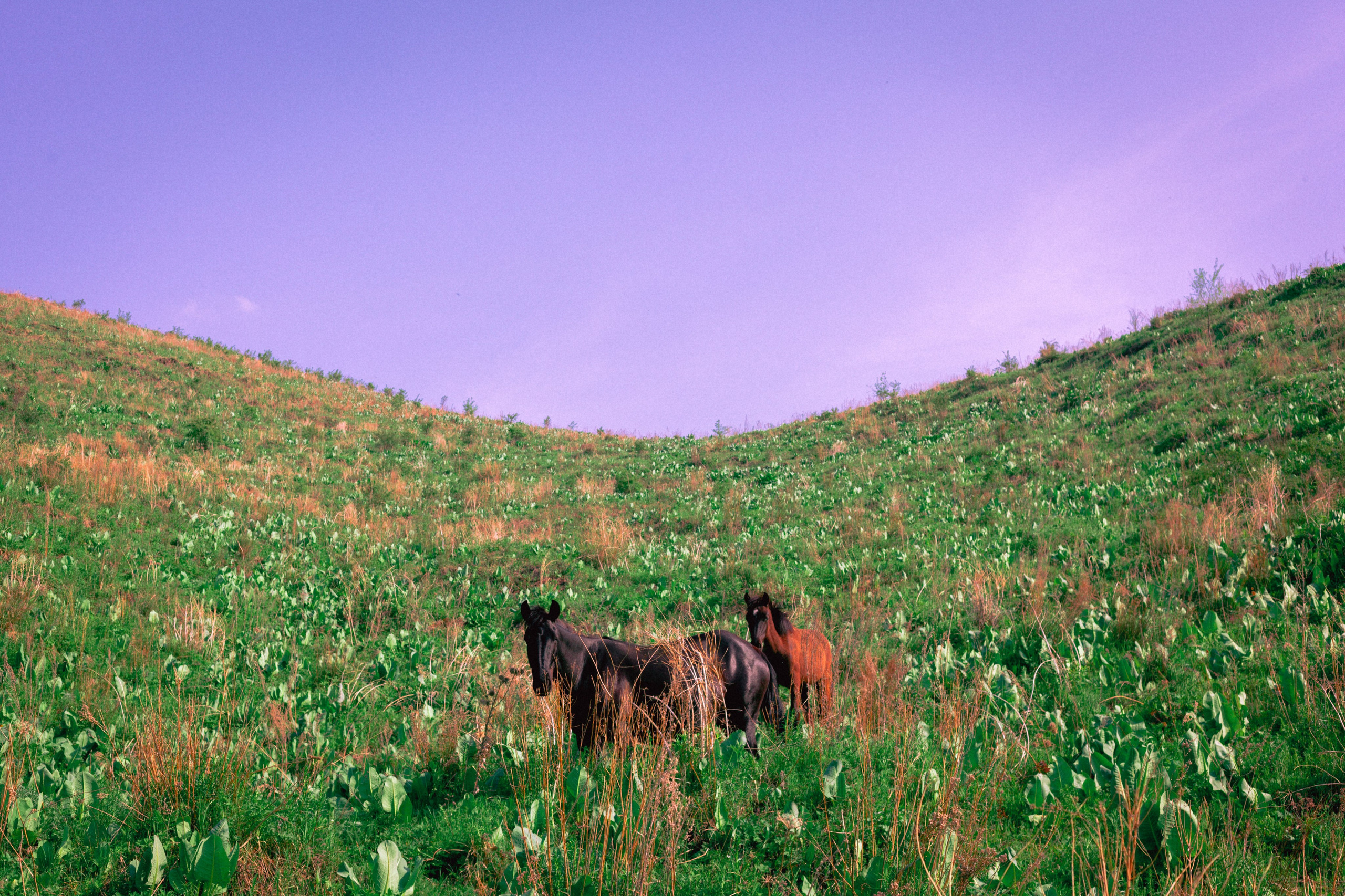 Открытки. Ostryakov Daniil Photographer