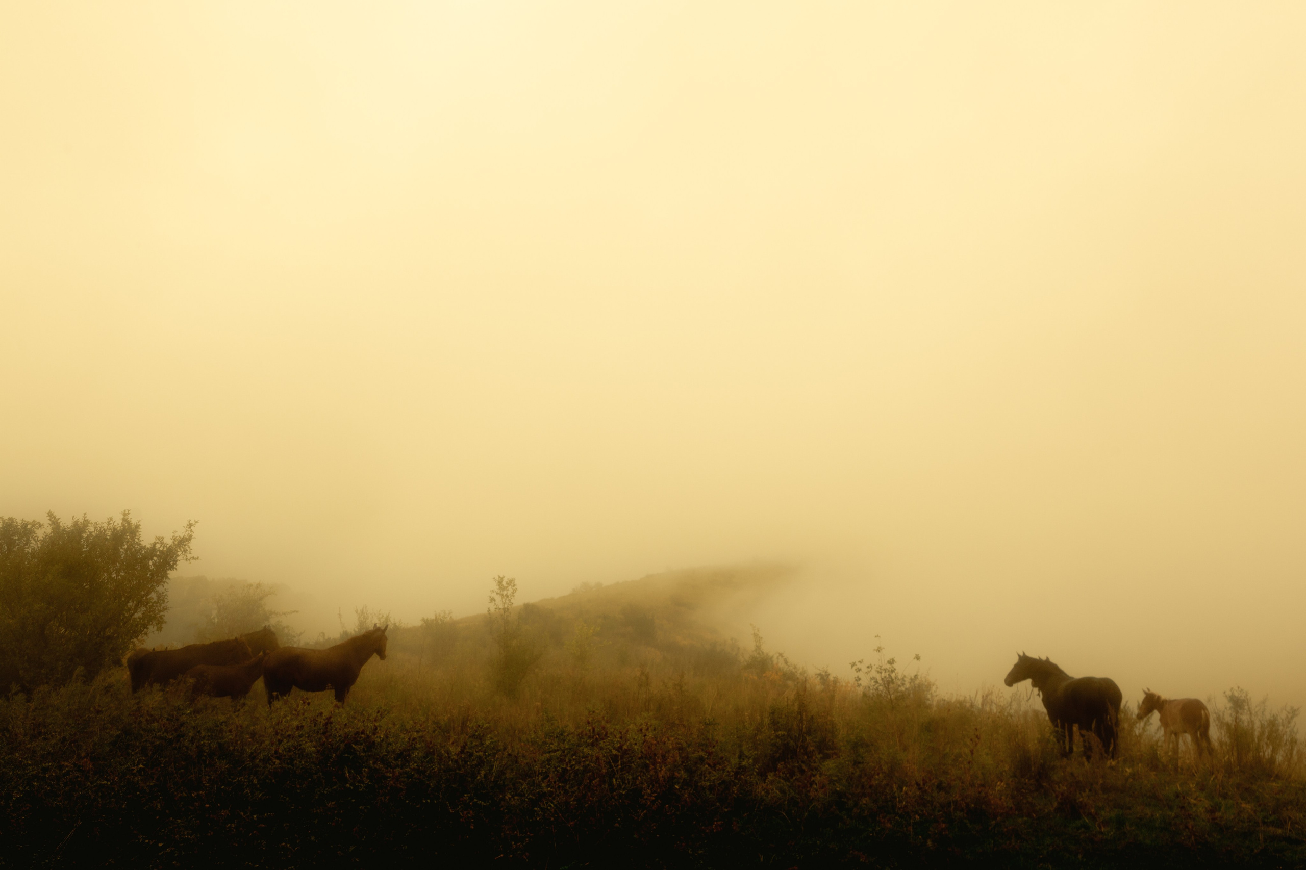 Открытки. Ostryakov Daniil Photographer
