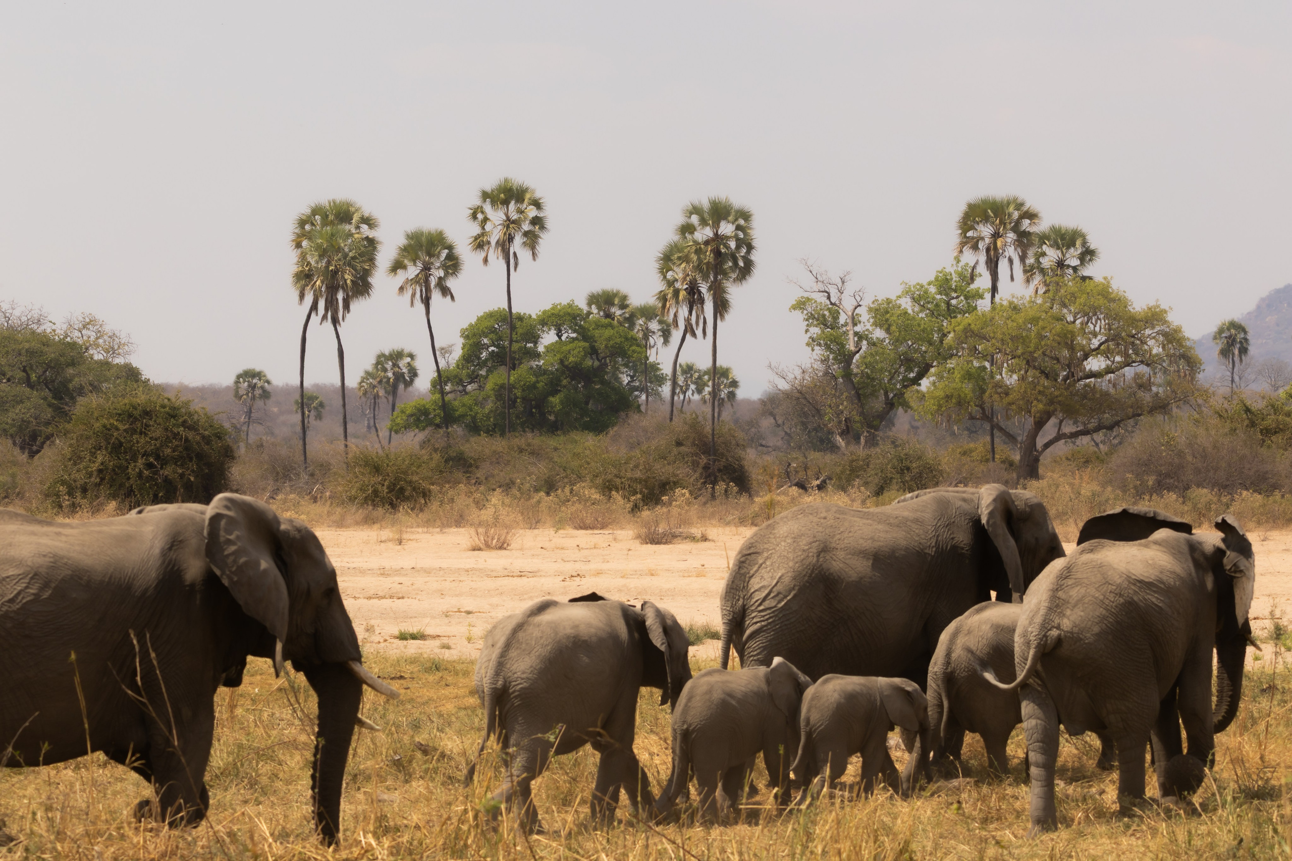 Фотограф Николай Шевченко