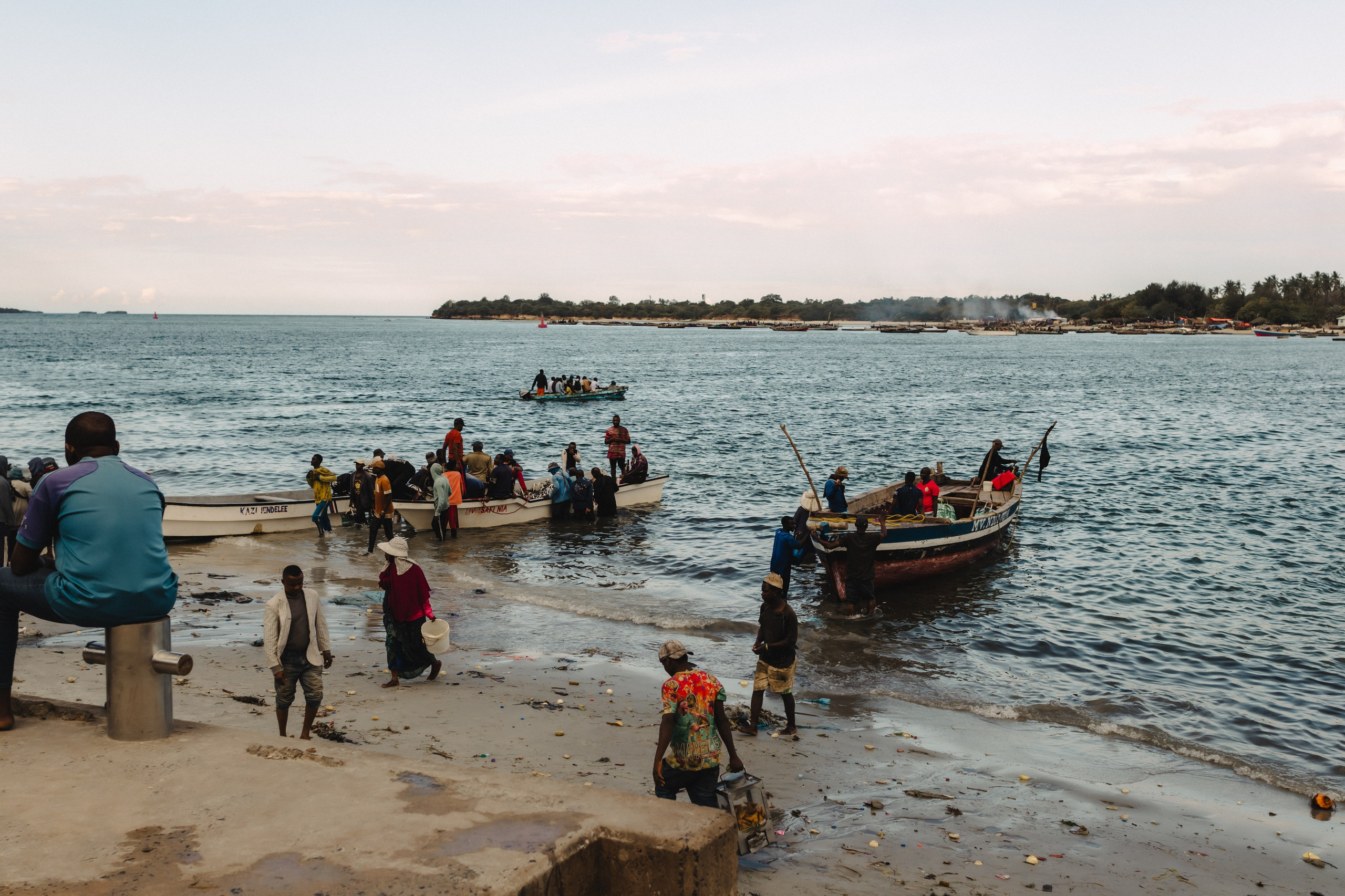 Фотограф Николай Шевченко