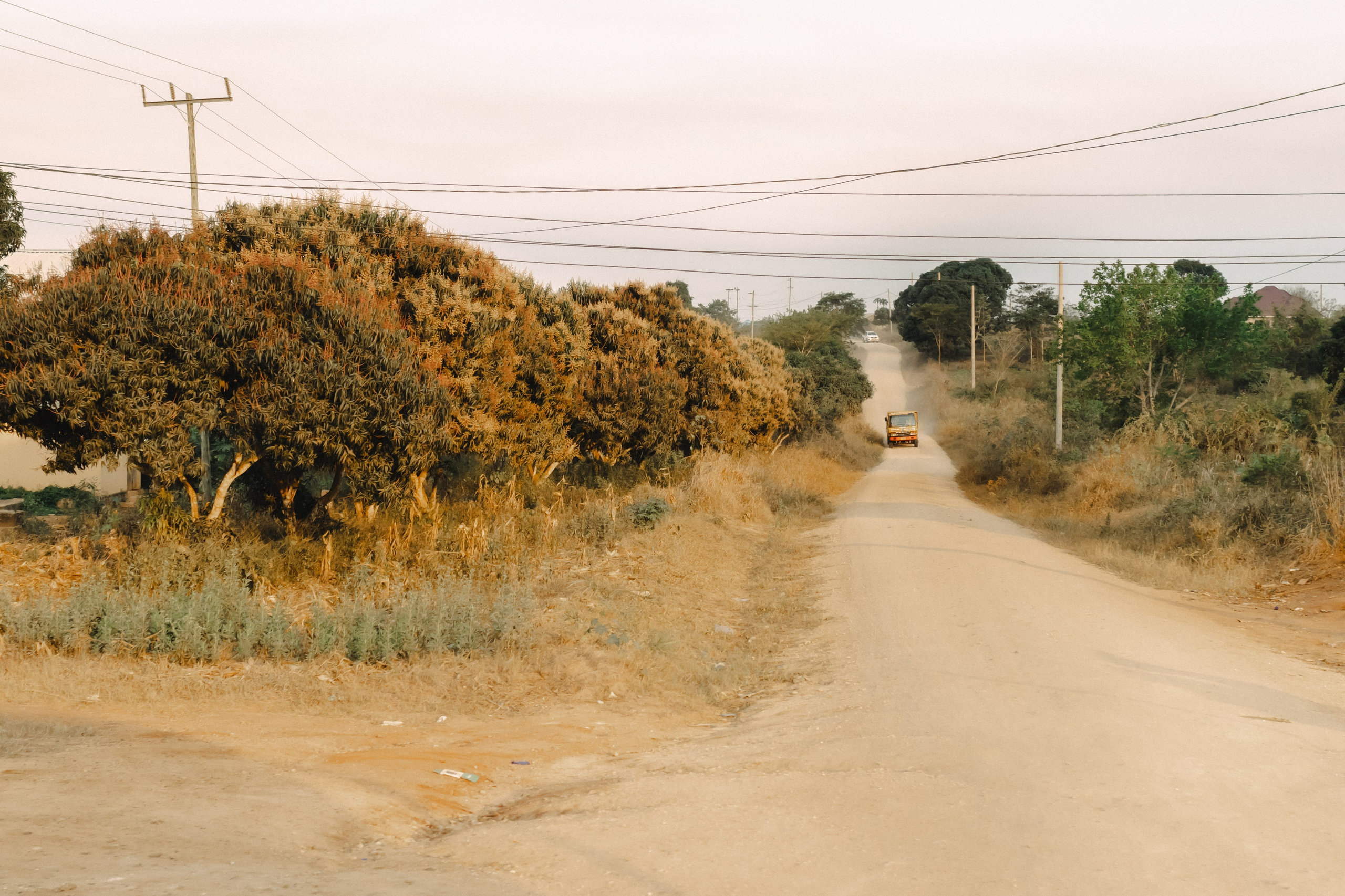 Фотограф Николай Шевченко