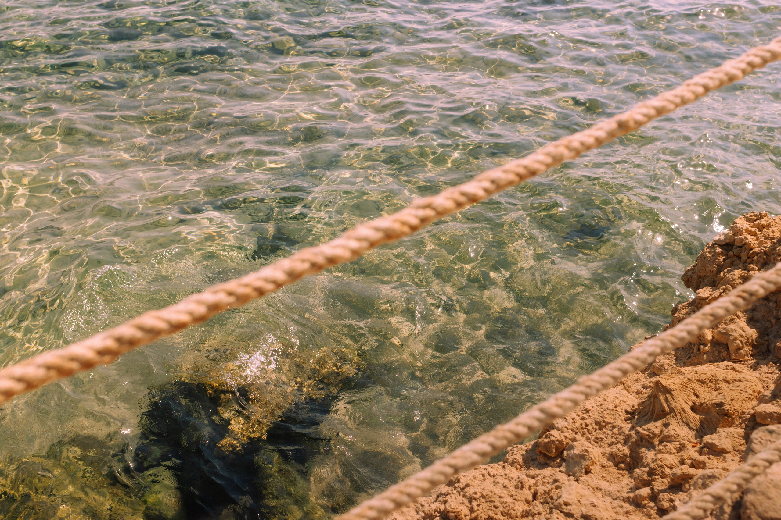 Фотограф Николай Шевченко