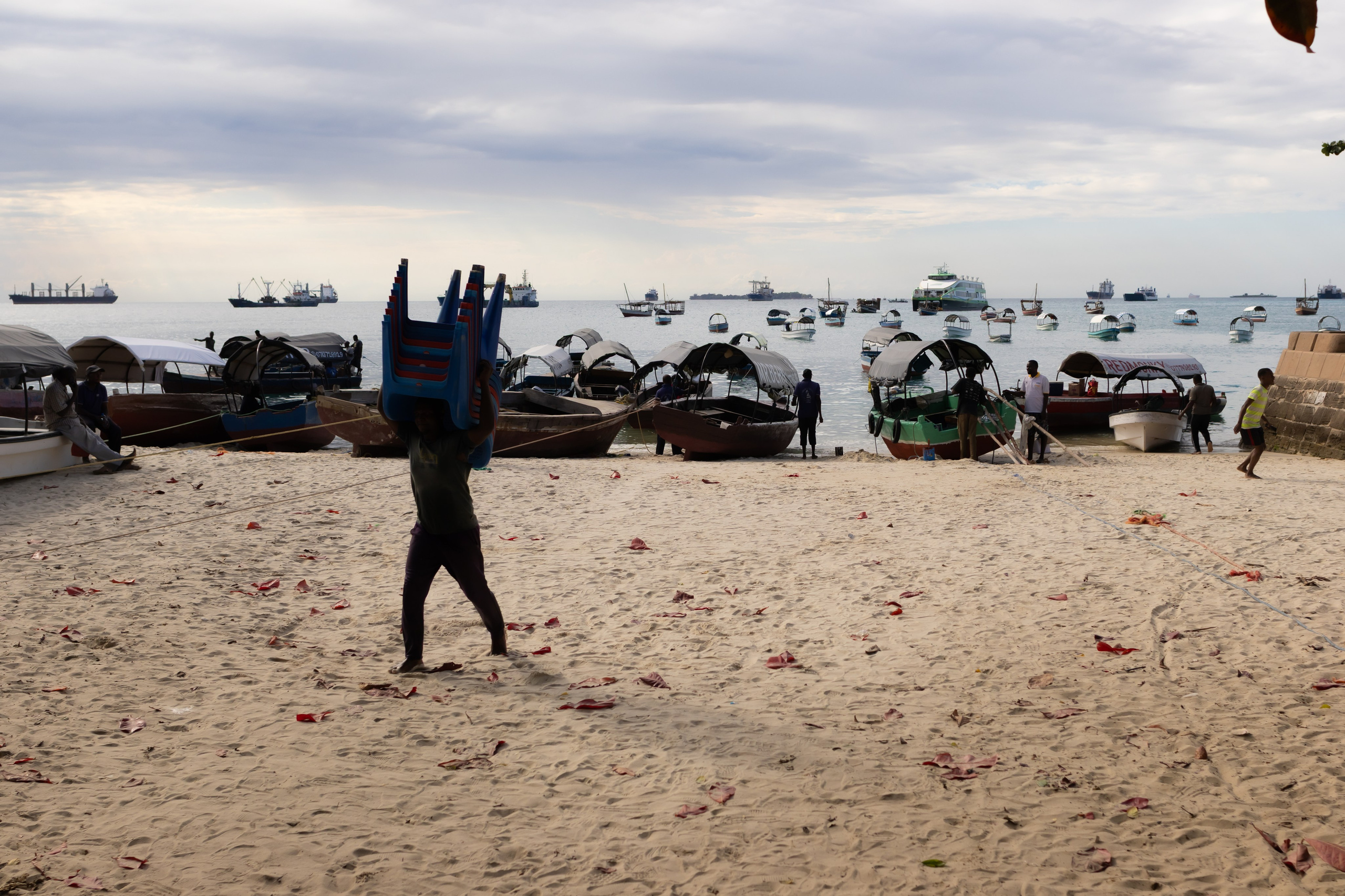 Фотограф Николай Шевченко