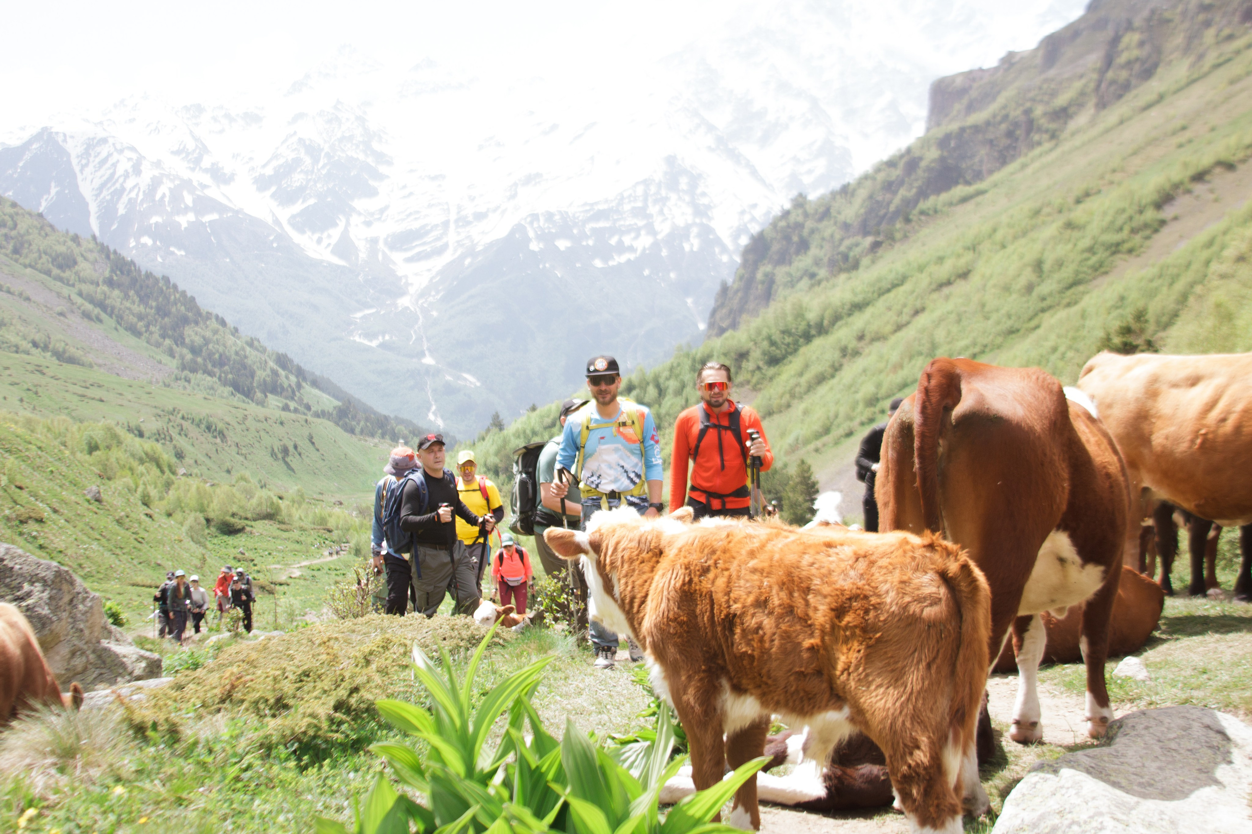 Услуги. Фотограф Котий Даниил