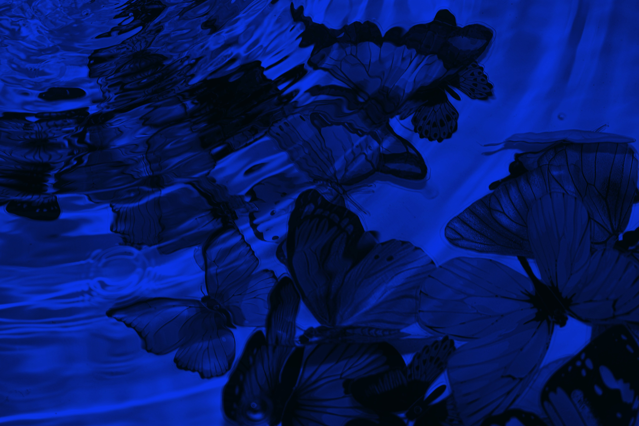 Творческое портфолио